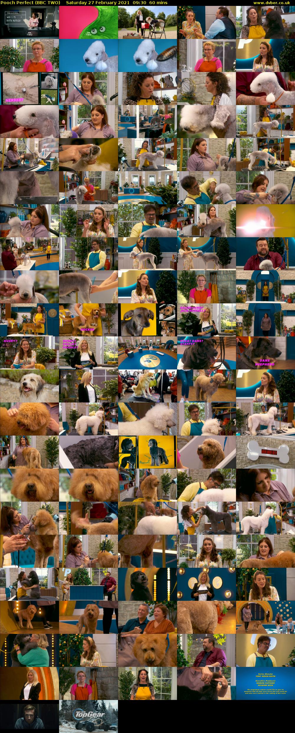 Pooch Perfect (BBC TWO) Saturday 27 February 2021 09:30 - 10:30