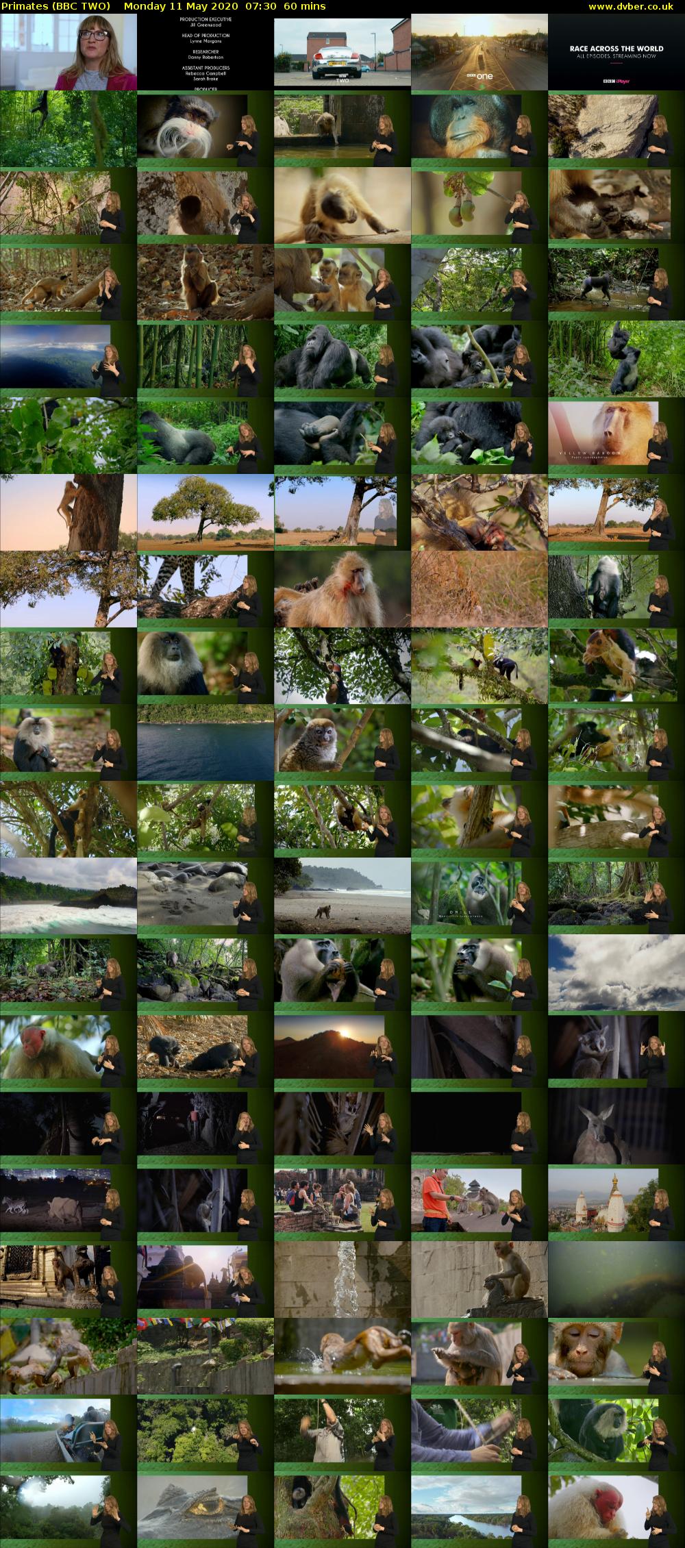 Primates (BBC TWO) Monday 11 May 2020 07:30 - 08:30