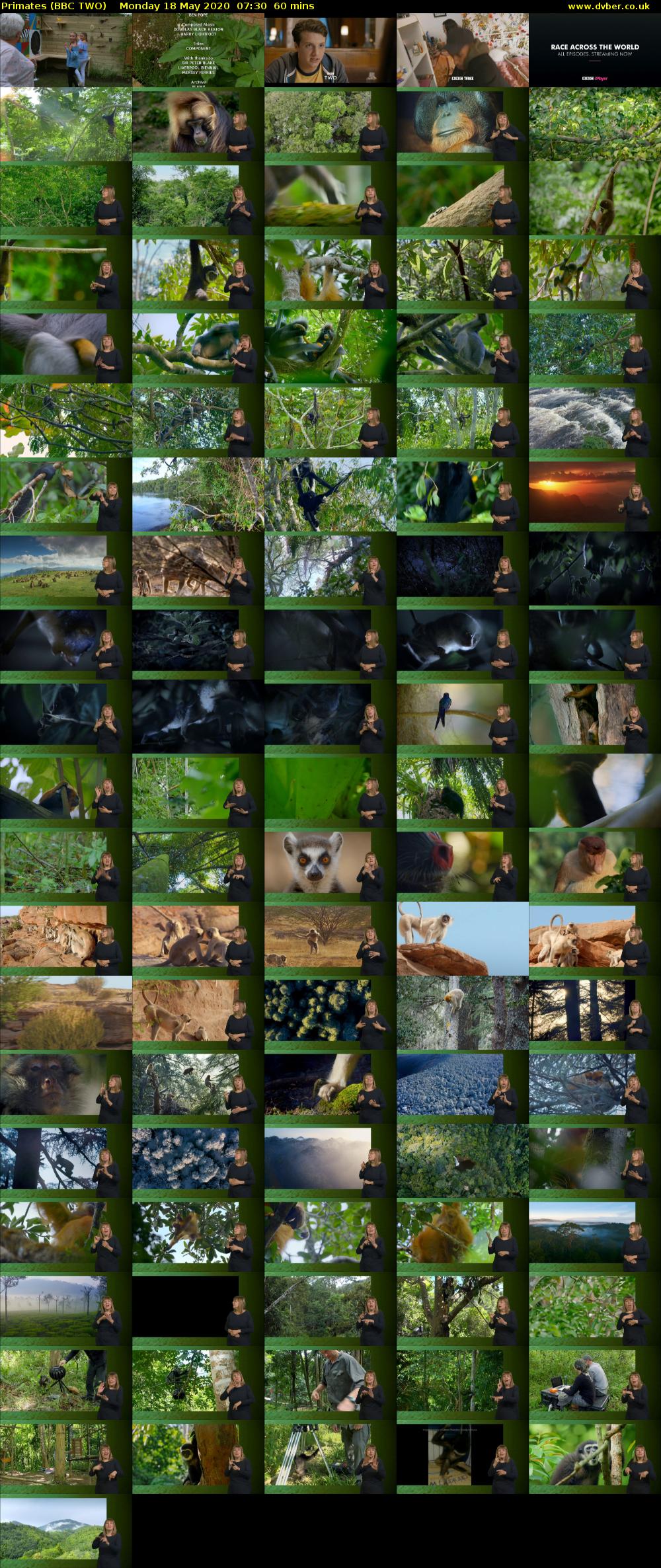 Primates (BBC TWO) Monday 18 May 2020 07:30 - 08:30