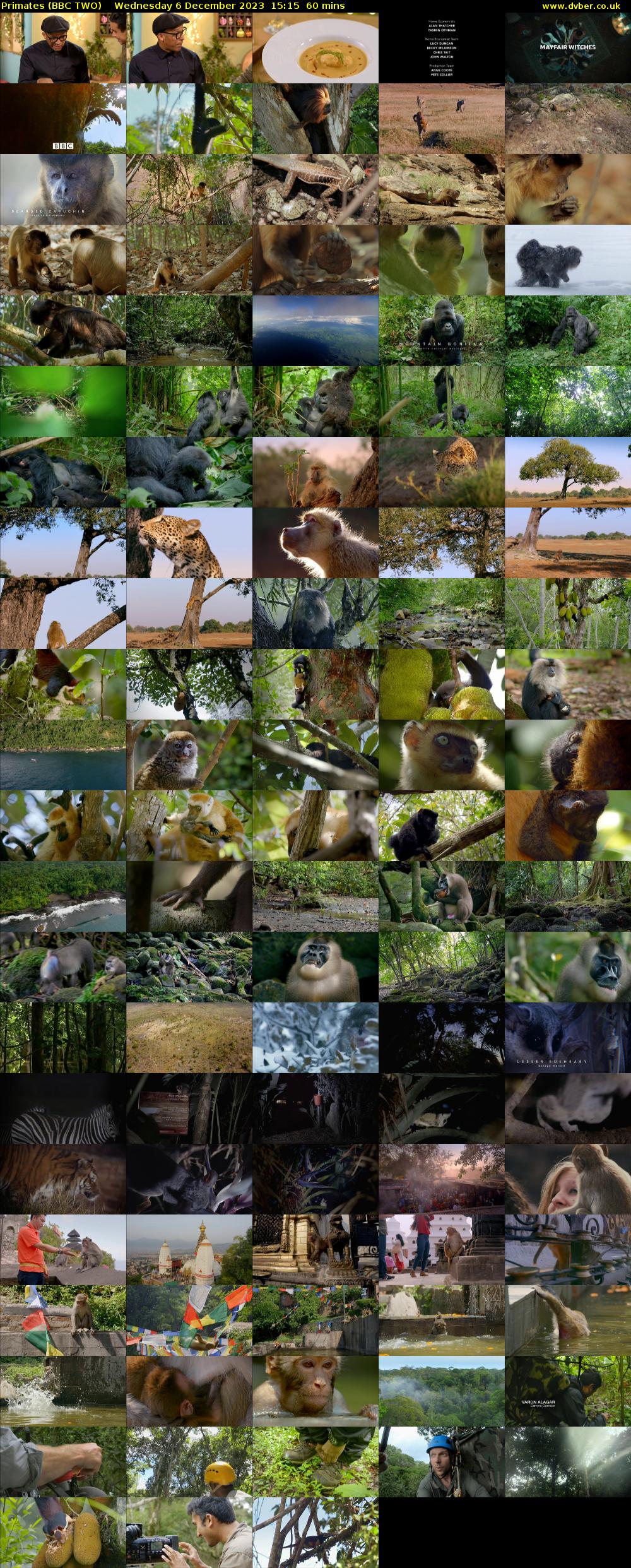Primates (BBC TWO) Wednesday 6 December 2023 15:15 - 16:15
