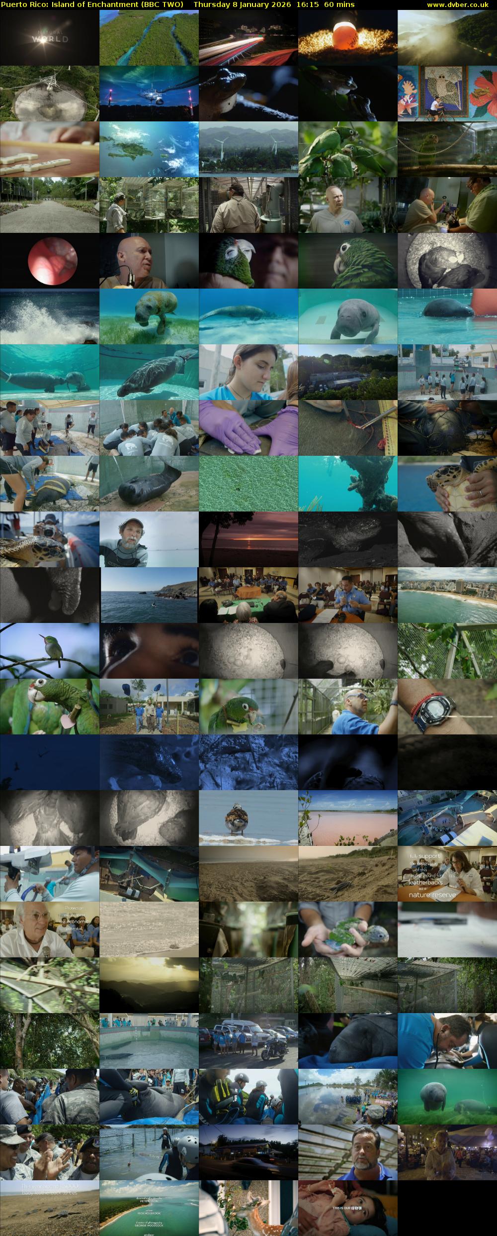 Puerto Rico: Island of Enchantment (BBC TWO) Thursday 8 January 2026 16:15 - 17:15