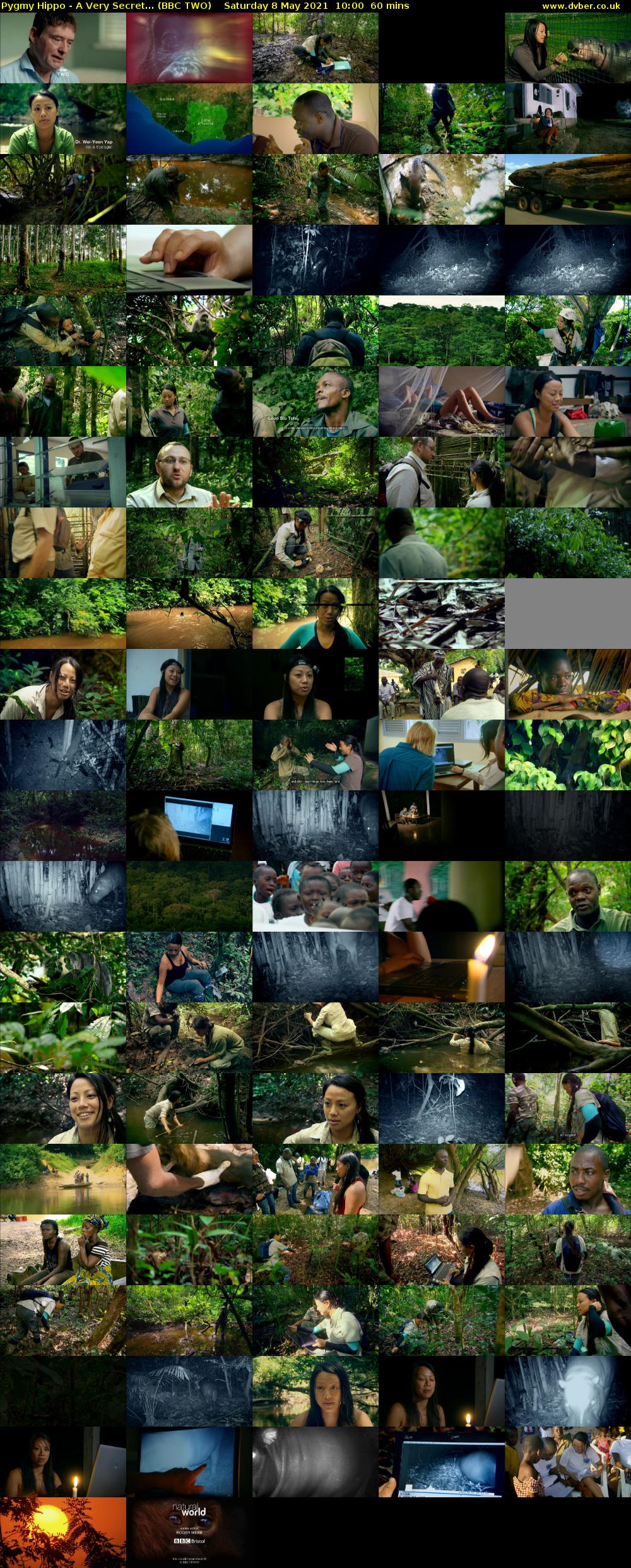 Pygmy Hippo - A Very Secret... (BBC TWO) Saturday 8 May 2021 10:00 - 11:00