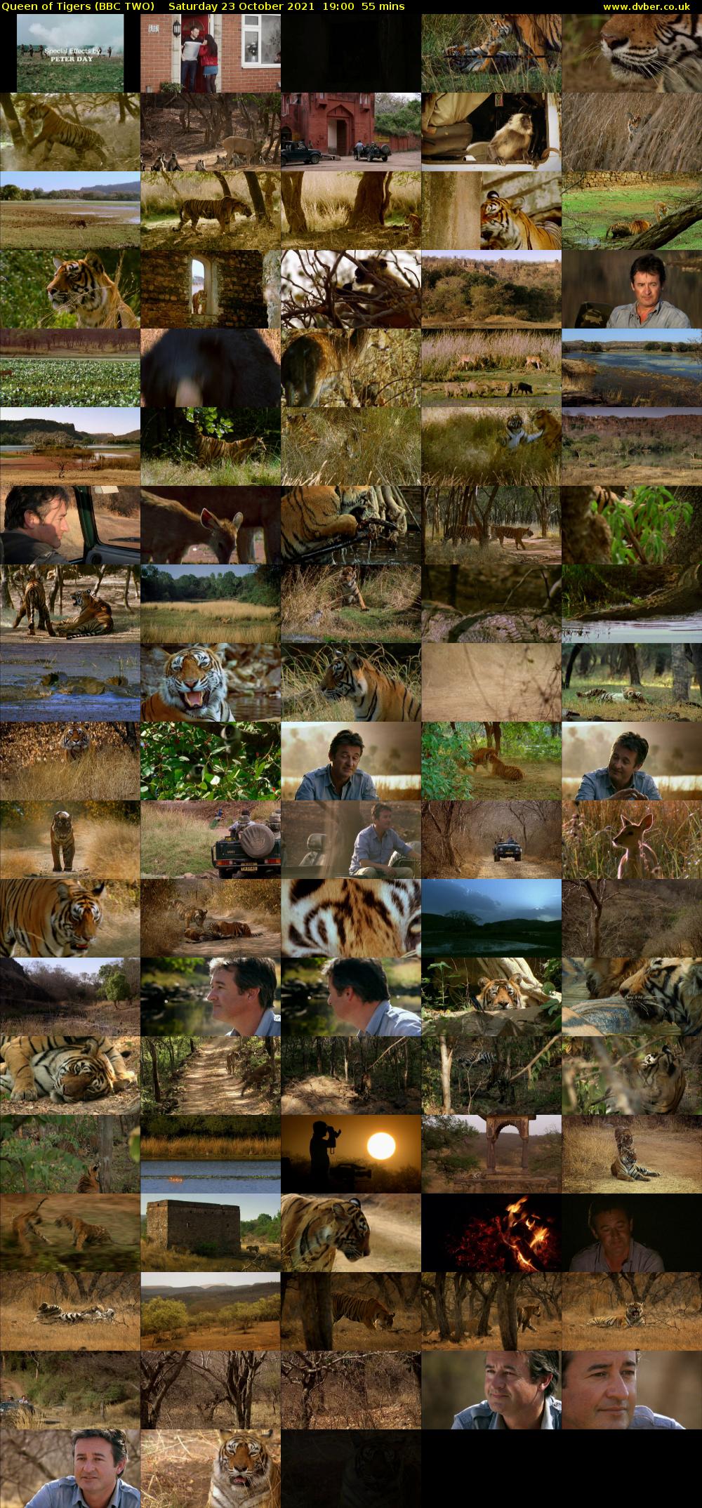 Queen of Tigers (BBC TWO) Saturday 23 October 2021 19:00 - 19:55