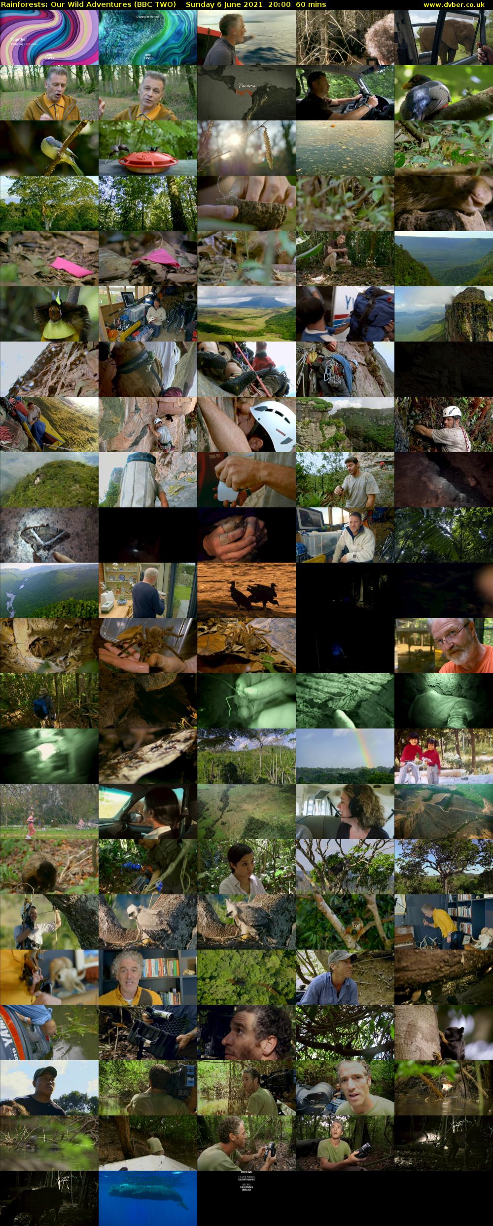 Rainforests: Our Wild Adventures (BBC TWO) Sunday 6 June 2021 20:00 - 21:00