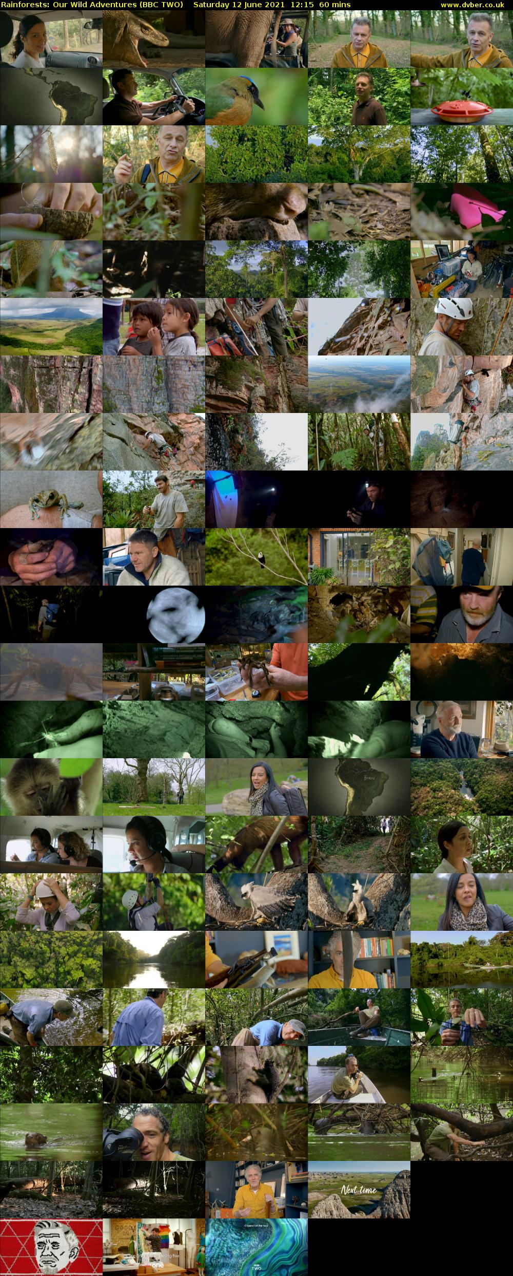 Rainforests: Our Wild Adventures (BBC TWO) Saturday 12 June 2021 12:15 - 13:15