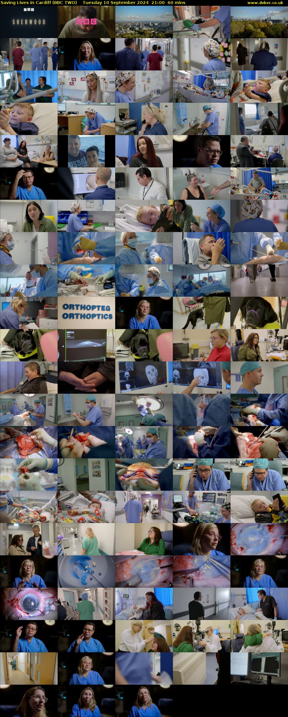 Saving Lives in Cardiff (BBC TWO) Tuesday 10 September 2024 21:00 - 22:00