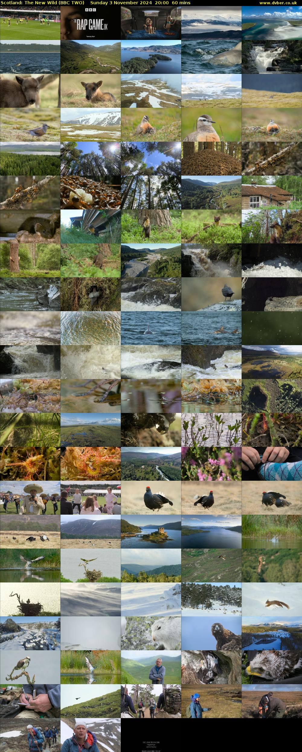 Scotland: The New Wild (BBC TWO) Sunday 3 November 2024 20:00 - 21:00