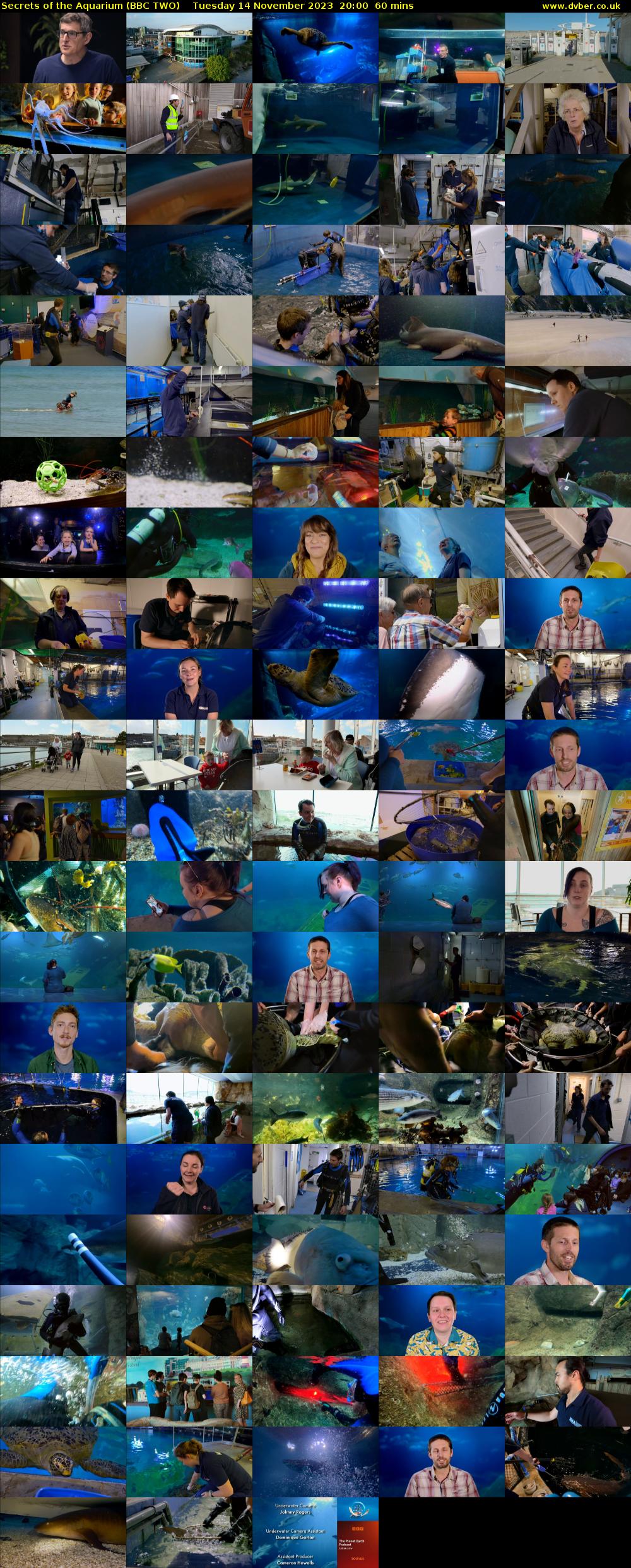 Secrets of the Aquarium (BBC TWO) Tuesday 14 November 2023 20:00 - 21:00