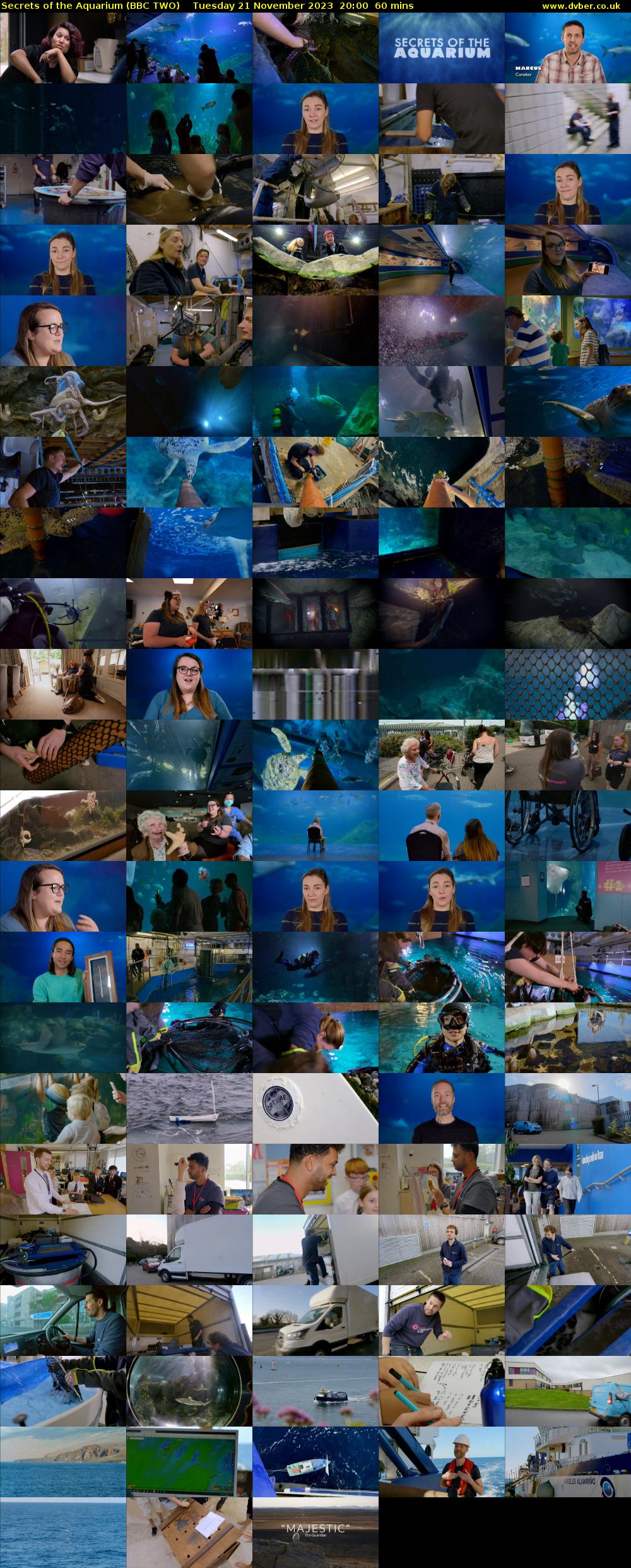Secrets of the Aquarium (BBC TWO) Tuesday 21 November 2023 20:00 - 21:00