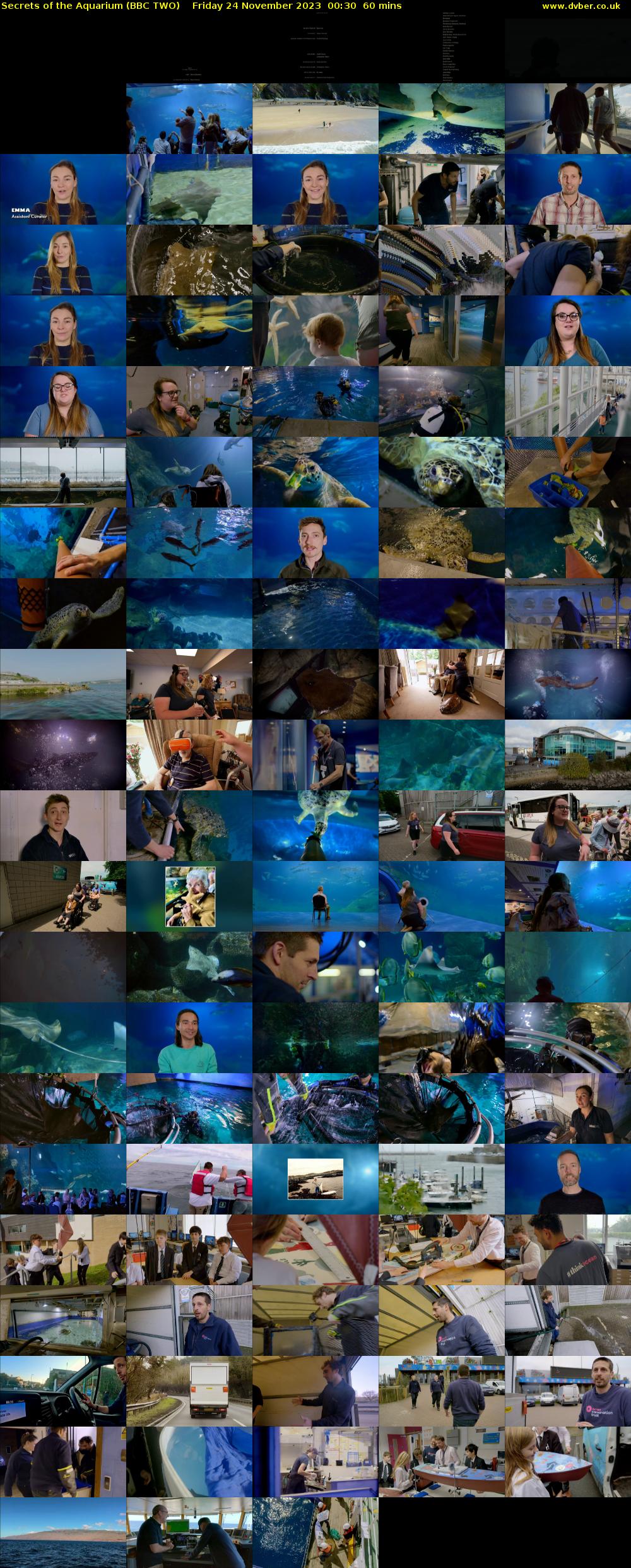 Secrets of the Aquarium (BBC TWO) Friday 24 November 2023 00:30 - 01:30
