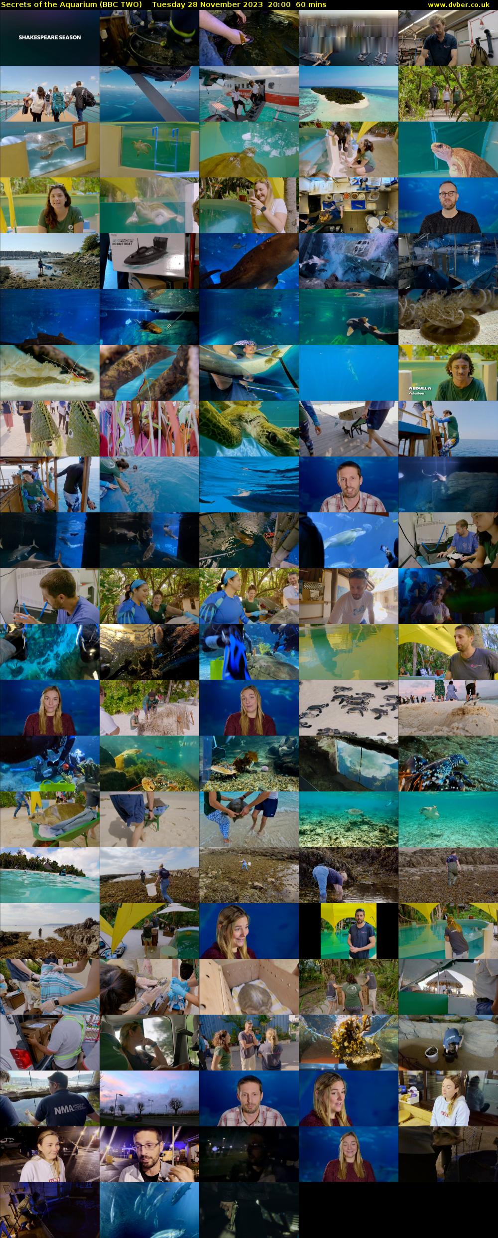Secrets of the Aquarium (BBC TWO) Tuesday 28 November 2023 20:00 - 21:00
