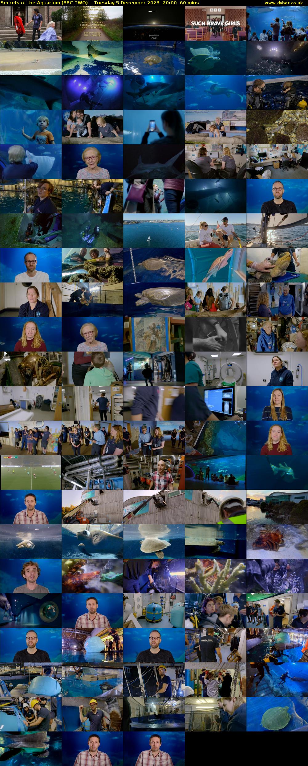 Secrets of the Aquarium (BBC TWO) Tuesday 5 December 2023 20:00 - 21:00