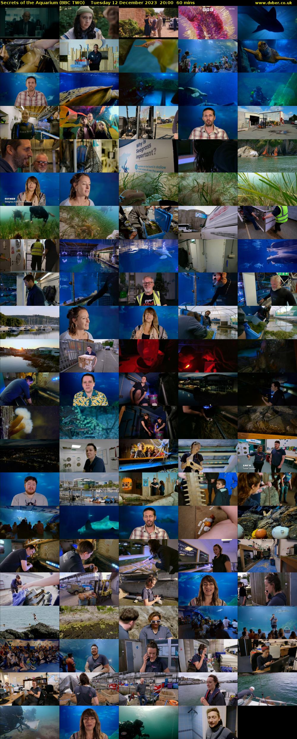 Secrets of the Aquarium (BBC TWO) Tuesday 12 December 2023 20:00 - 21:00