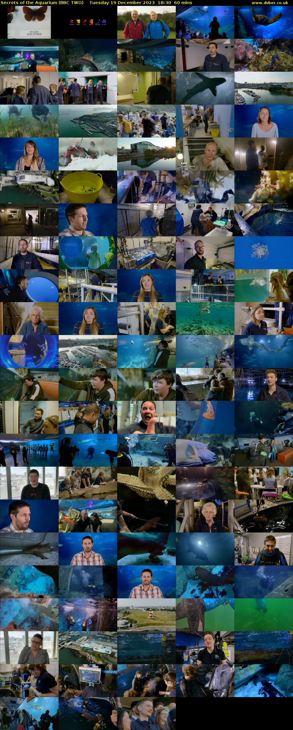 Secrets of the Aquarium (BBC TWO) Tuesday 19 December 2023 18:30 - 19:30