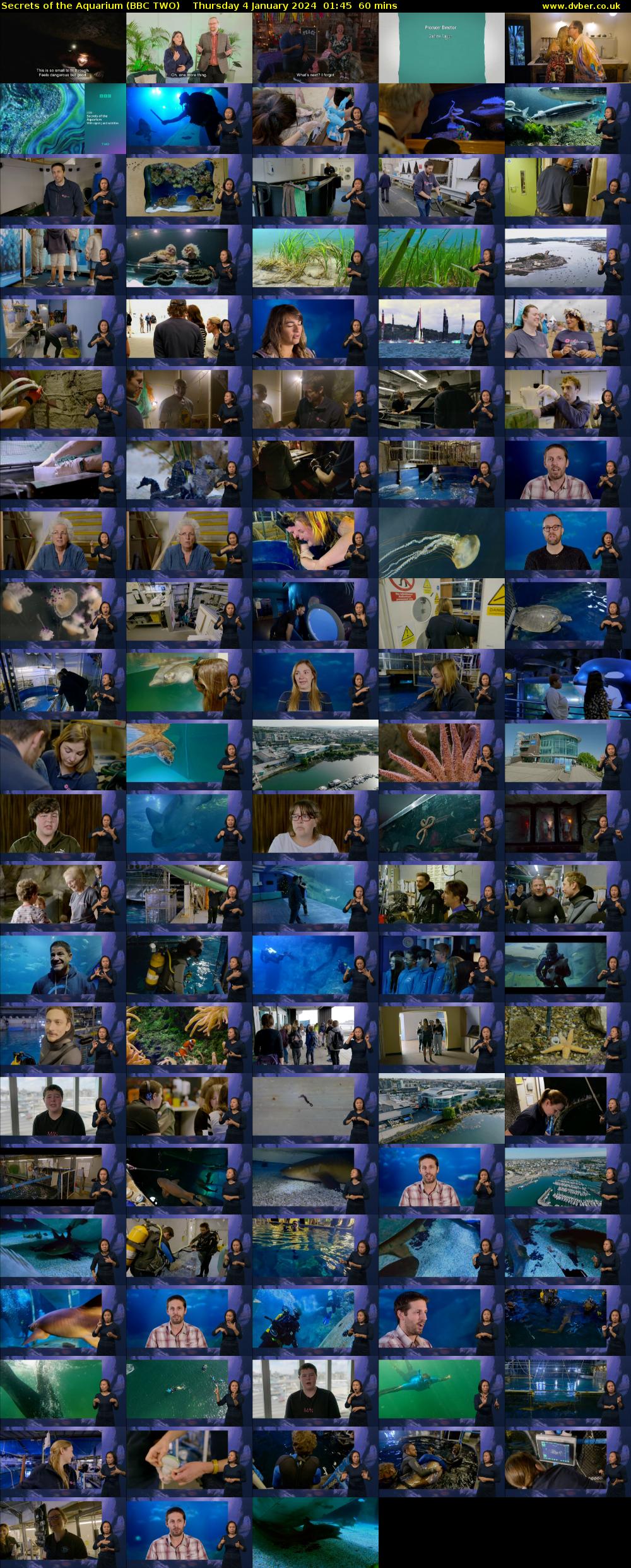 Secrets of the Aquarium (BBC TWO) Thursday 4 January 2024 01:45 - 02:45