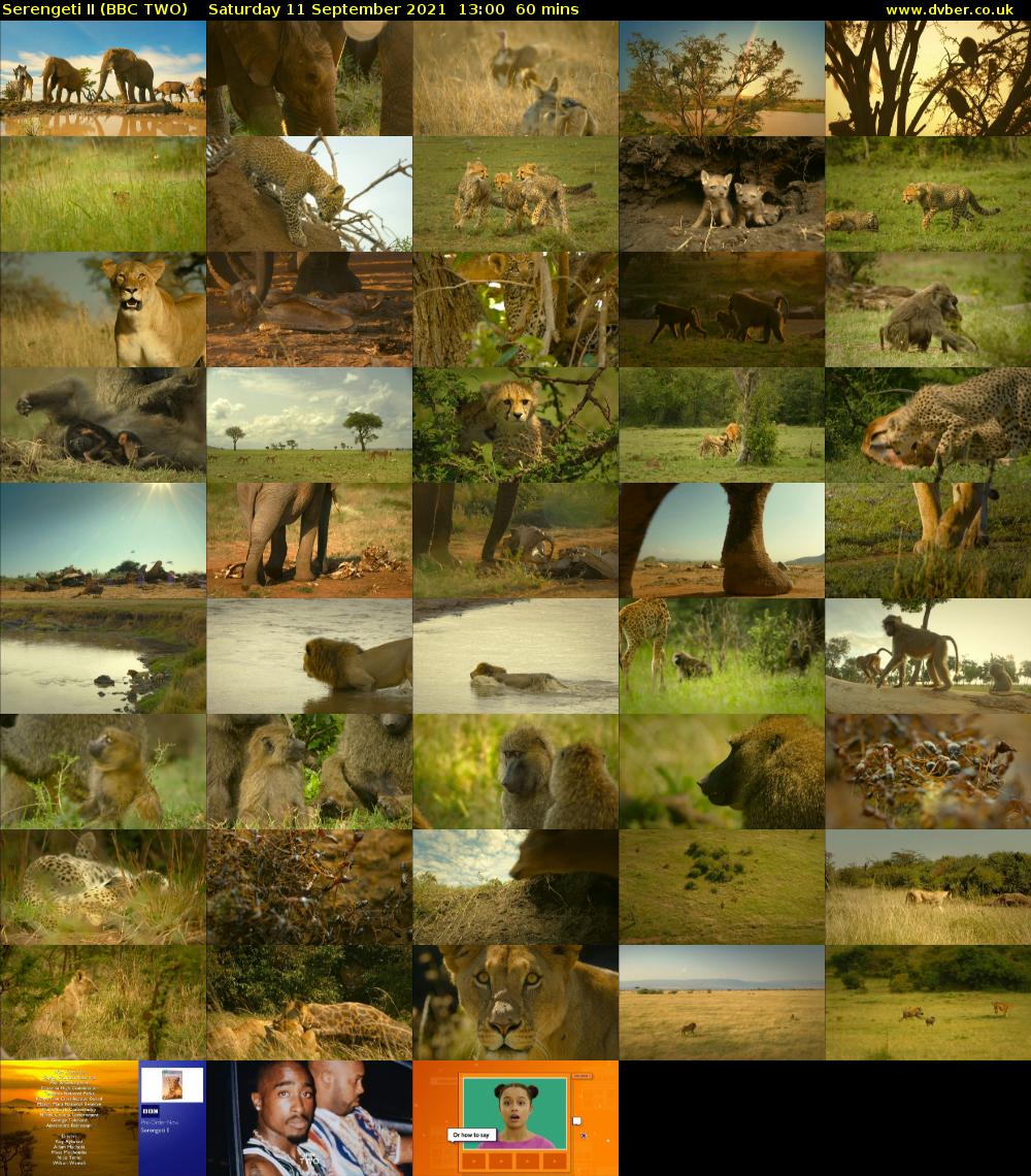 Serengeti II (BBC TWO) Saturday 11 September 2021 13:00 - 14:00
