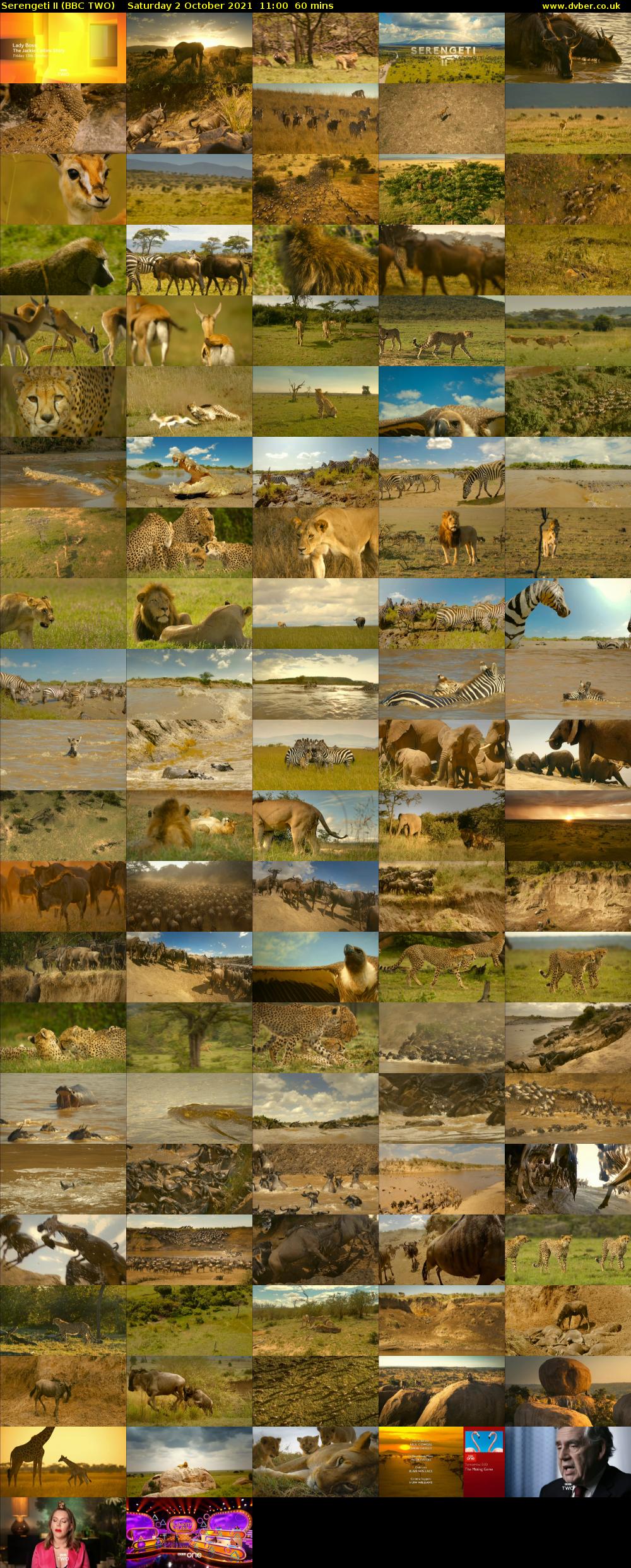 Serengeti II (BBC TWO) Saturday 2 October 2021 11:00 - 12:00