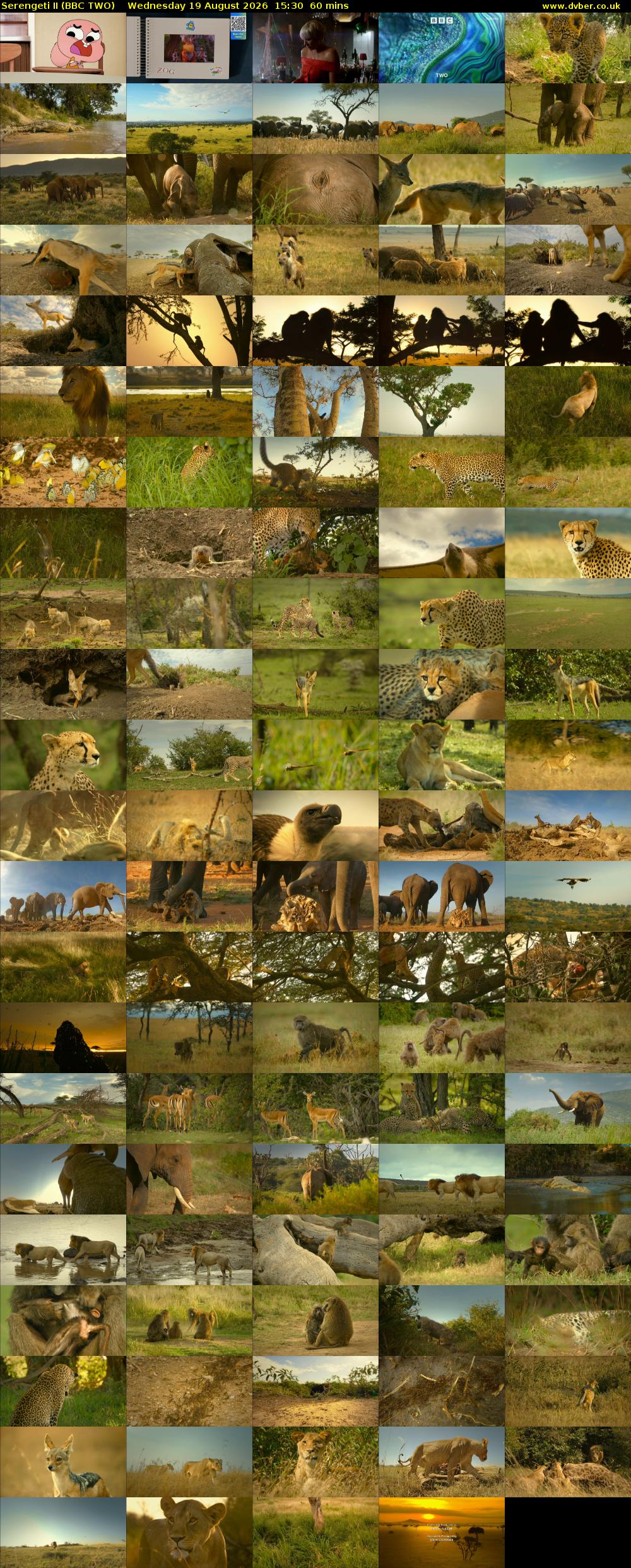 Serengeti II (BBC TWO) Wednesday 19 August 2026 15:30 - 16:30