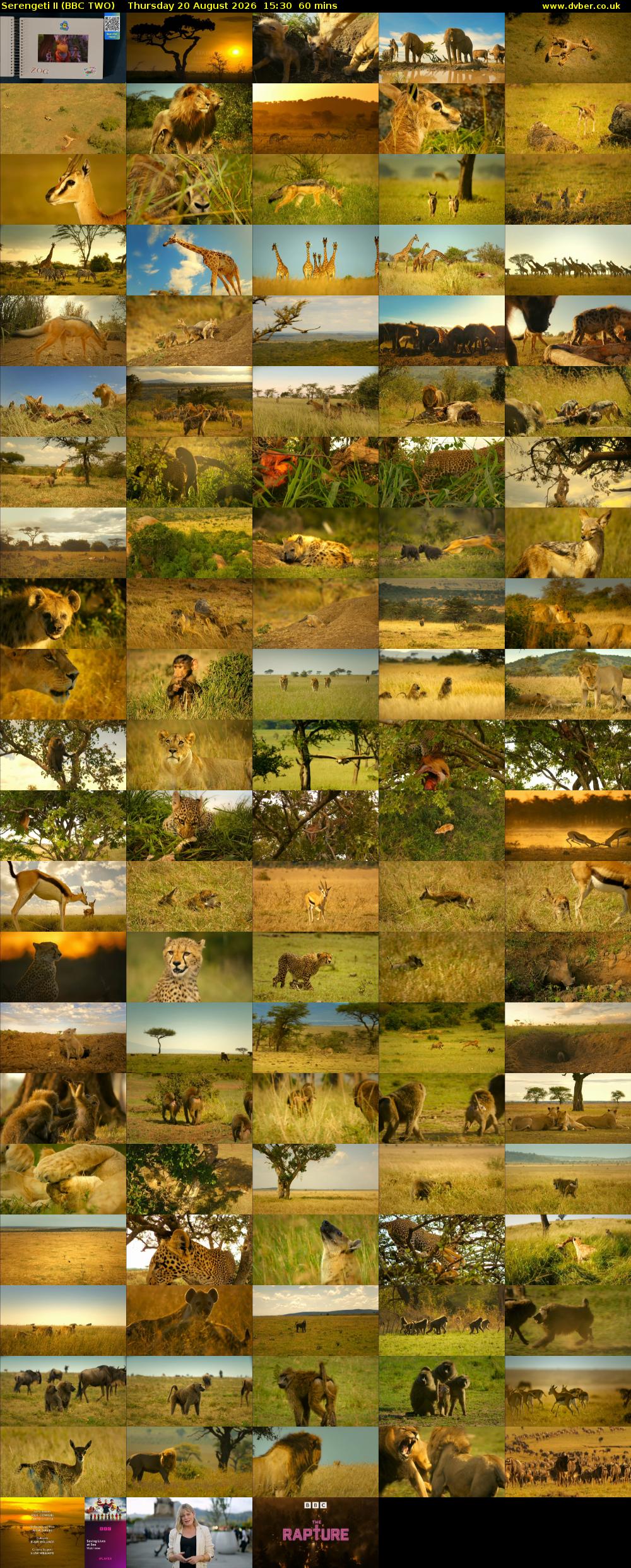 Serengeti II (BBC TWO) Thursday 20 August 2026 15:30 - 16:30