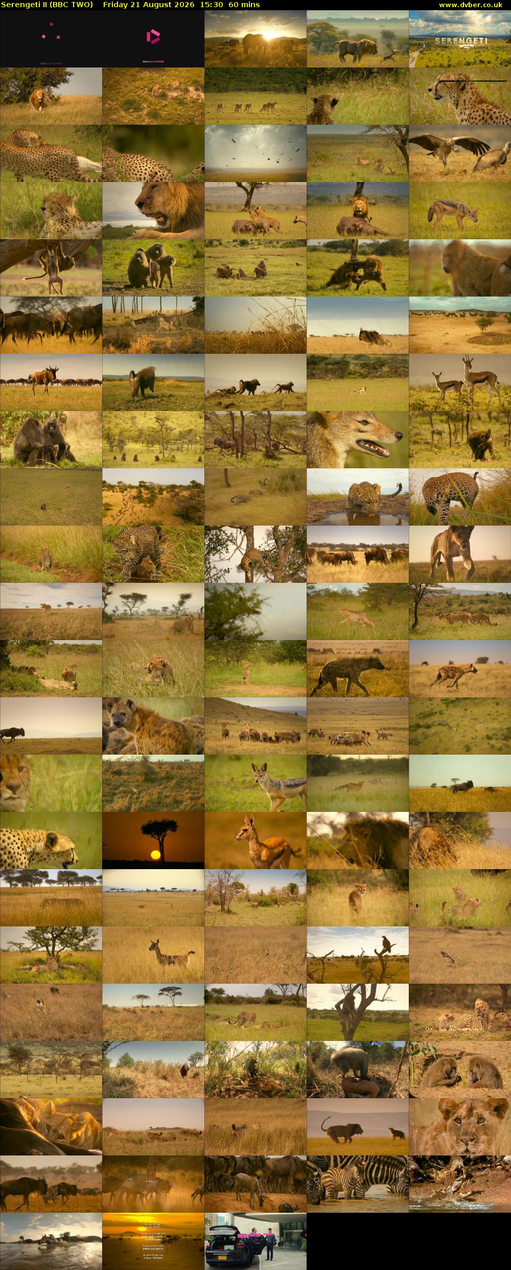 Serengeti II (BBC TWO) Friday 21 August 2026 15:30 - 16:30