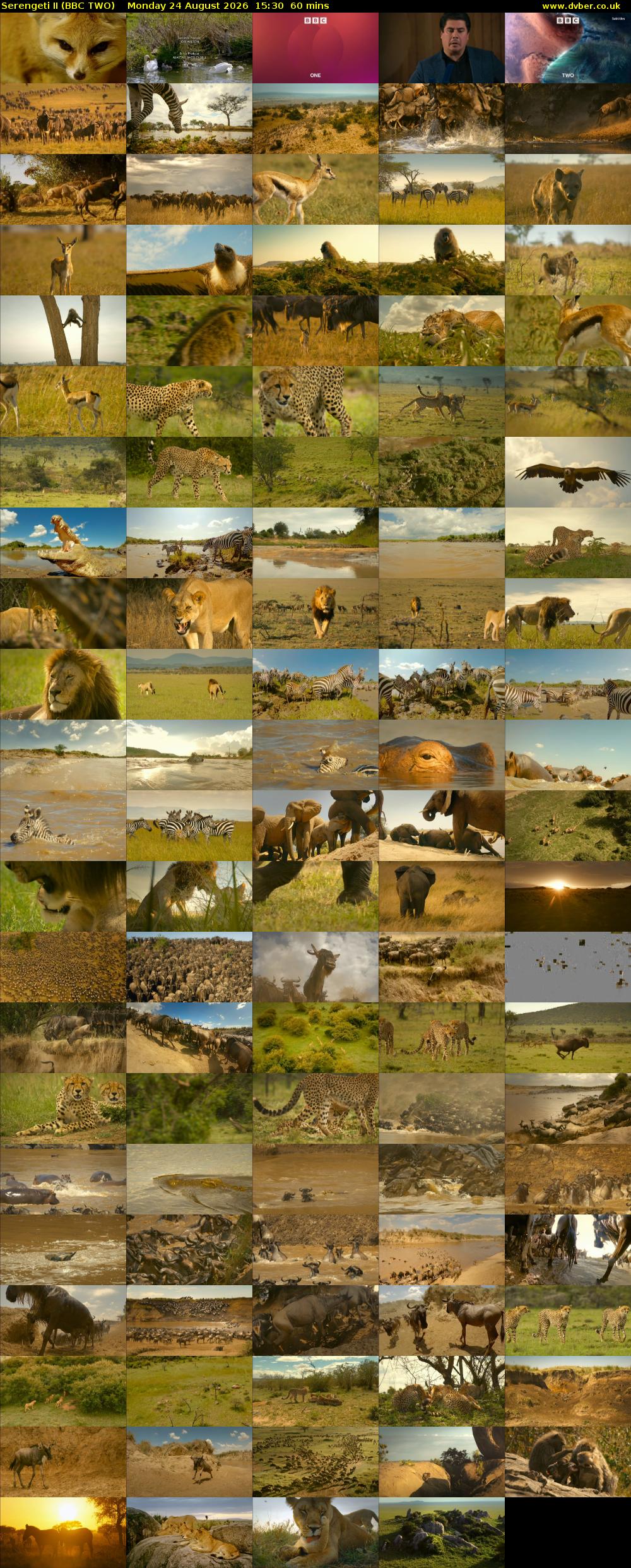 Serengeti II (BBC TWO) Monday 24 August 2026 15:30 - 16:30