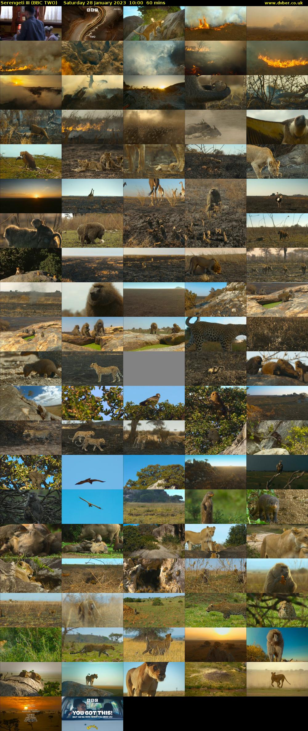 Serengeti III (BBC TWO) Saturday 28 January 2023 10:00 - 11:00