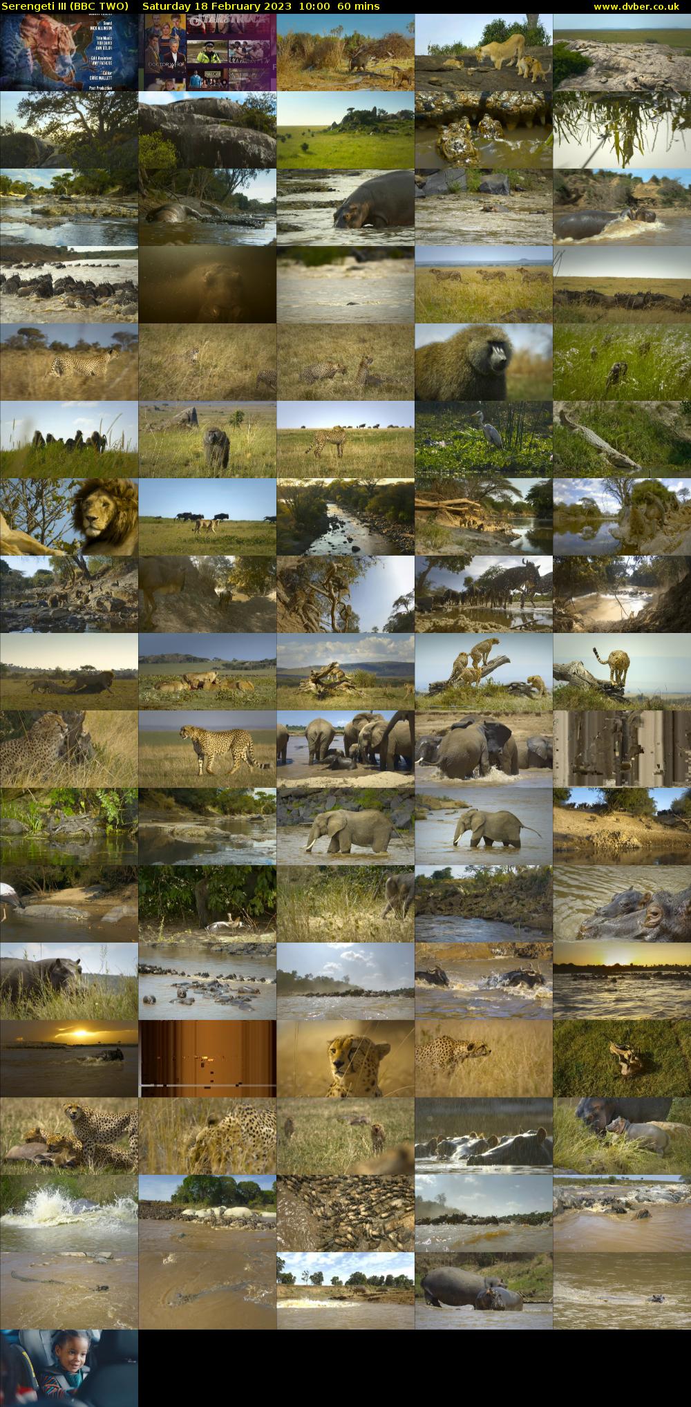 Serengeti III (BBC TWO) Saturday 18 February 2023 10:00 - 11:00