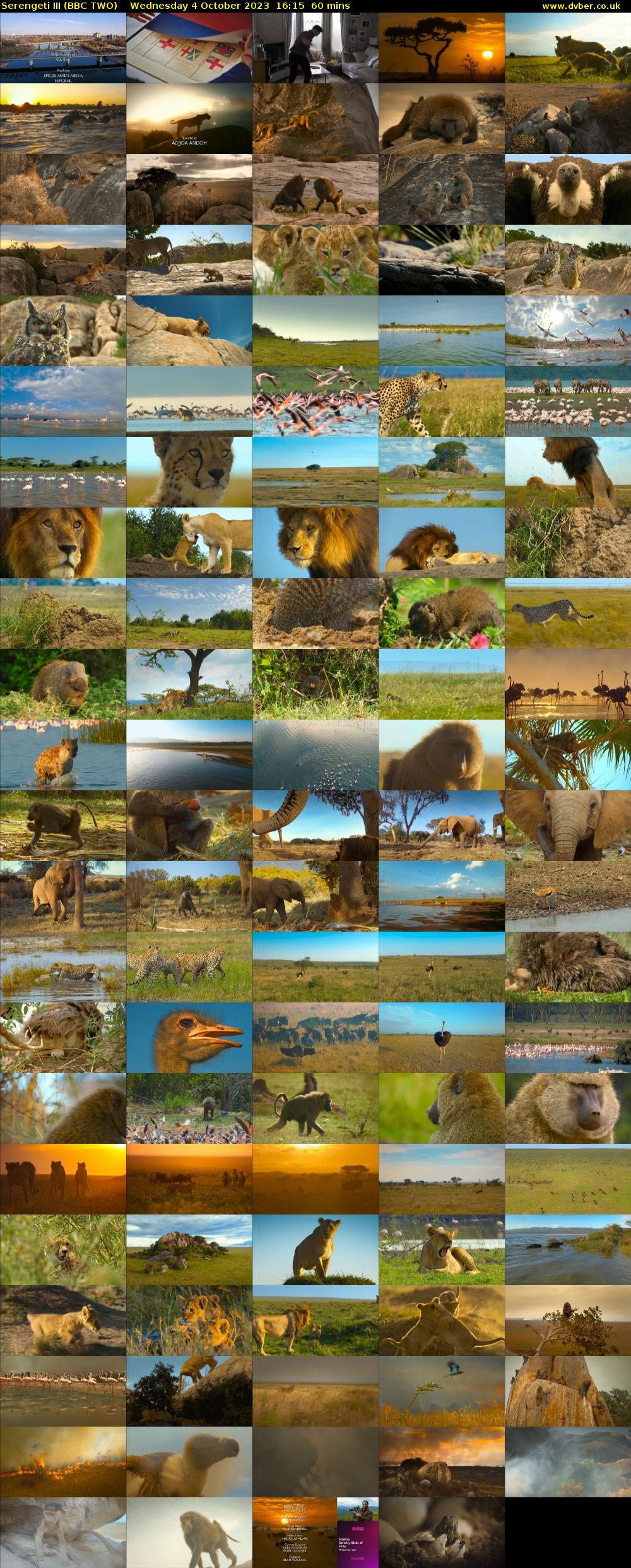 Serengeti III (BBC TWO) Wednesday 4 October 2023 16:15 - 17:15