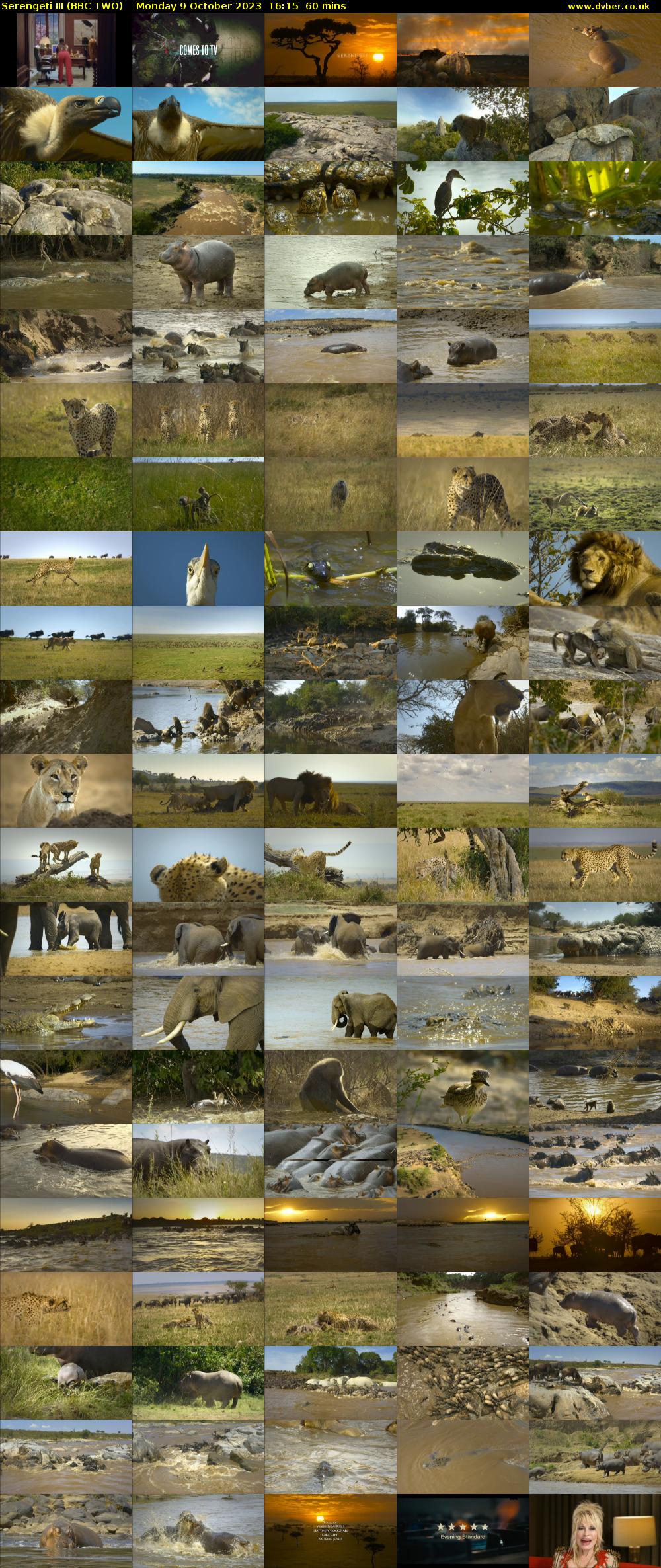 Serengeti III (BBC TWO) Monday 9 October 2023 16:15 - 17:15