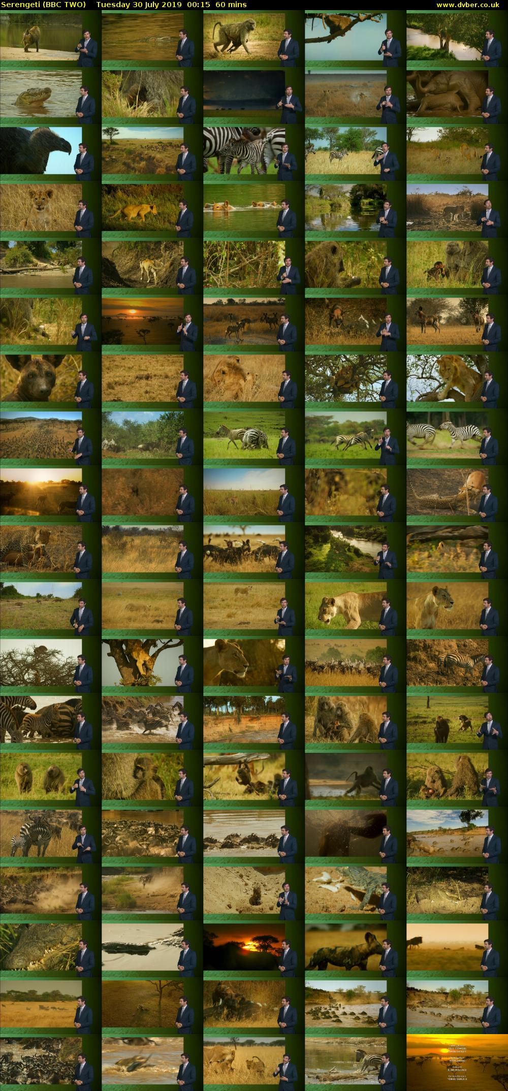 Serengeti (BBC TWO) Tuesday 30 July 2019 00:15 - 01:15