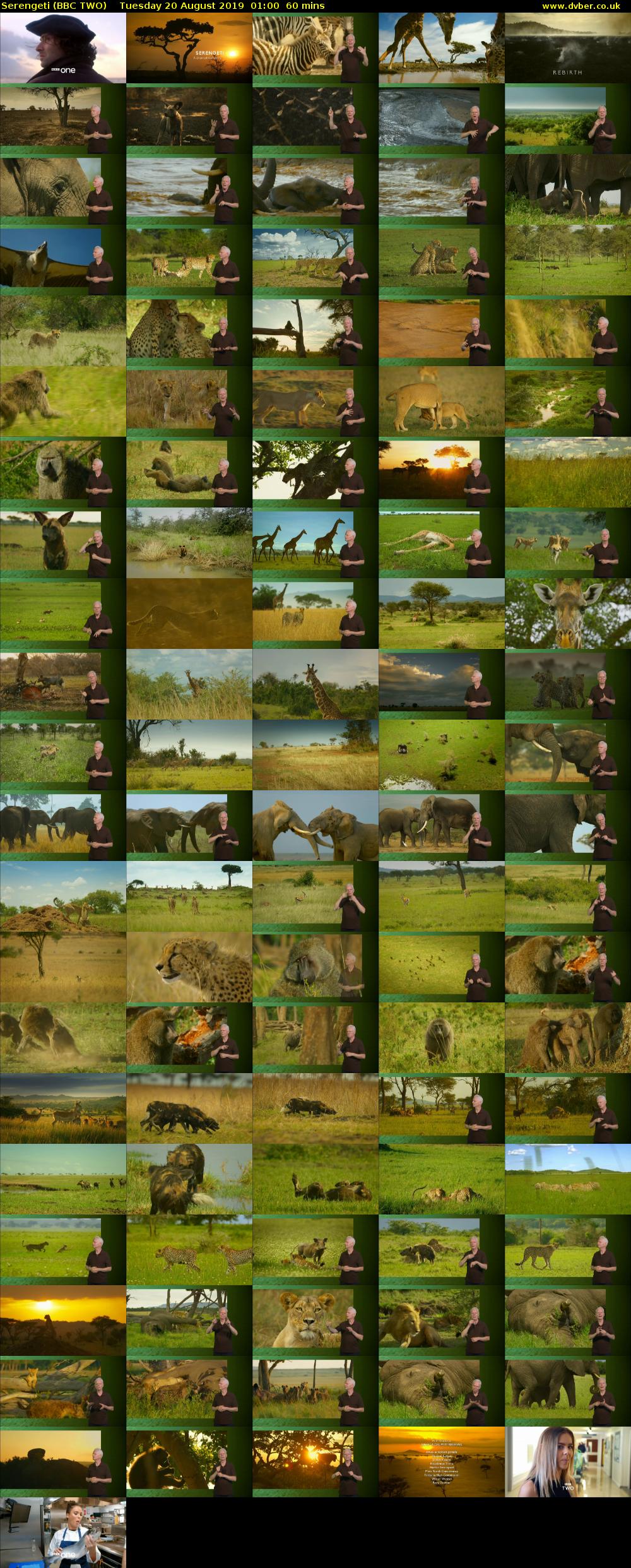 Serengeti (BBC TWO) Tuesday 20 August 2019 01:00 - 02:00