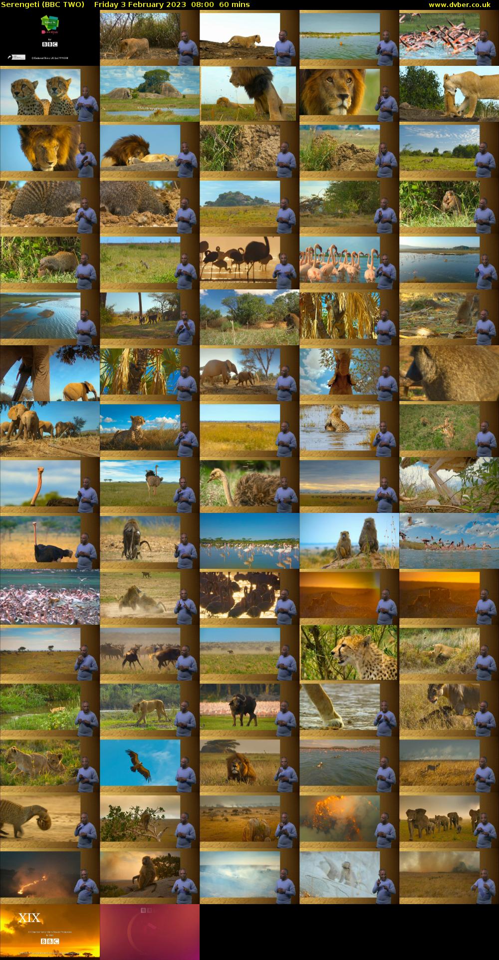 Serengeti (BBC TWO) Friday 3 February 2023 08:00 - 09:00
