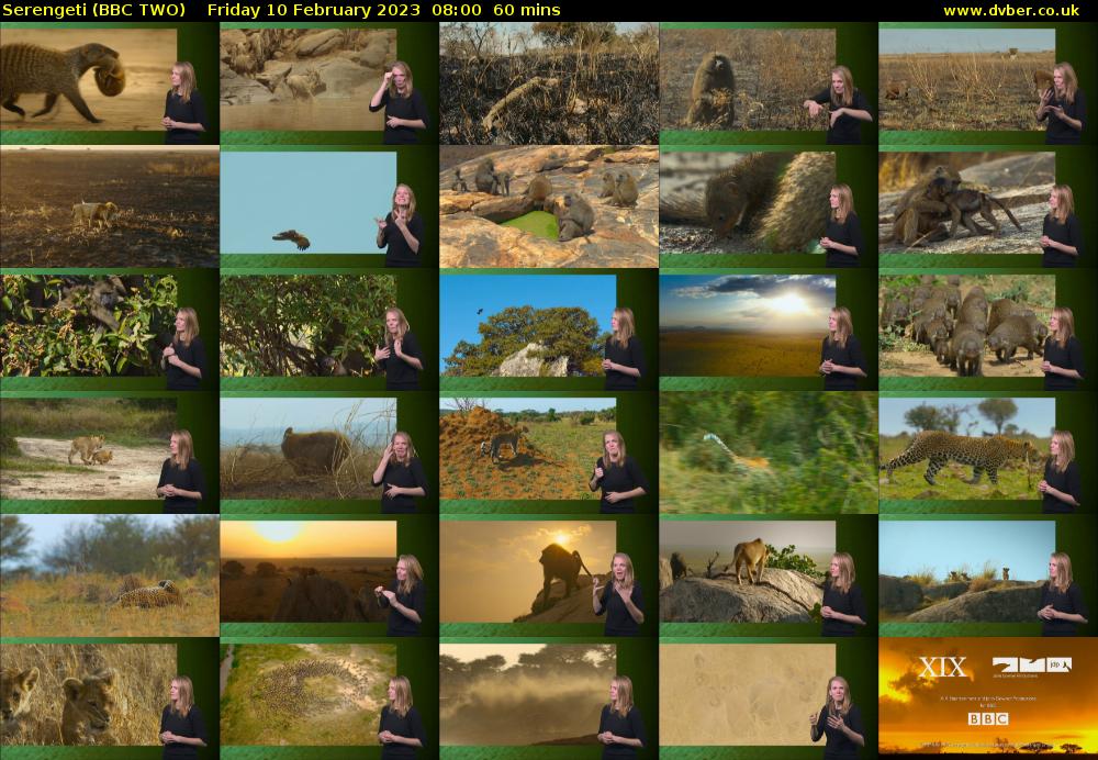 Serengeti (BBC TWO) Friday 10 February 2023 08:00 - 09:00