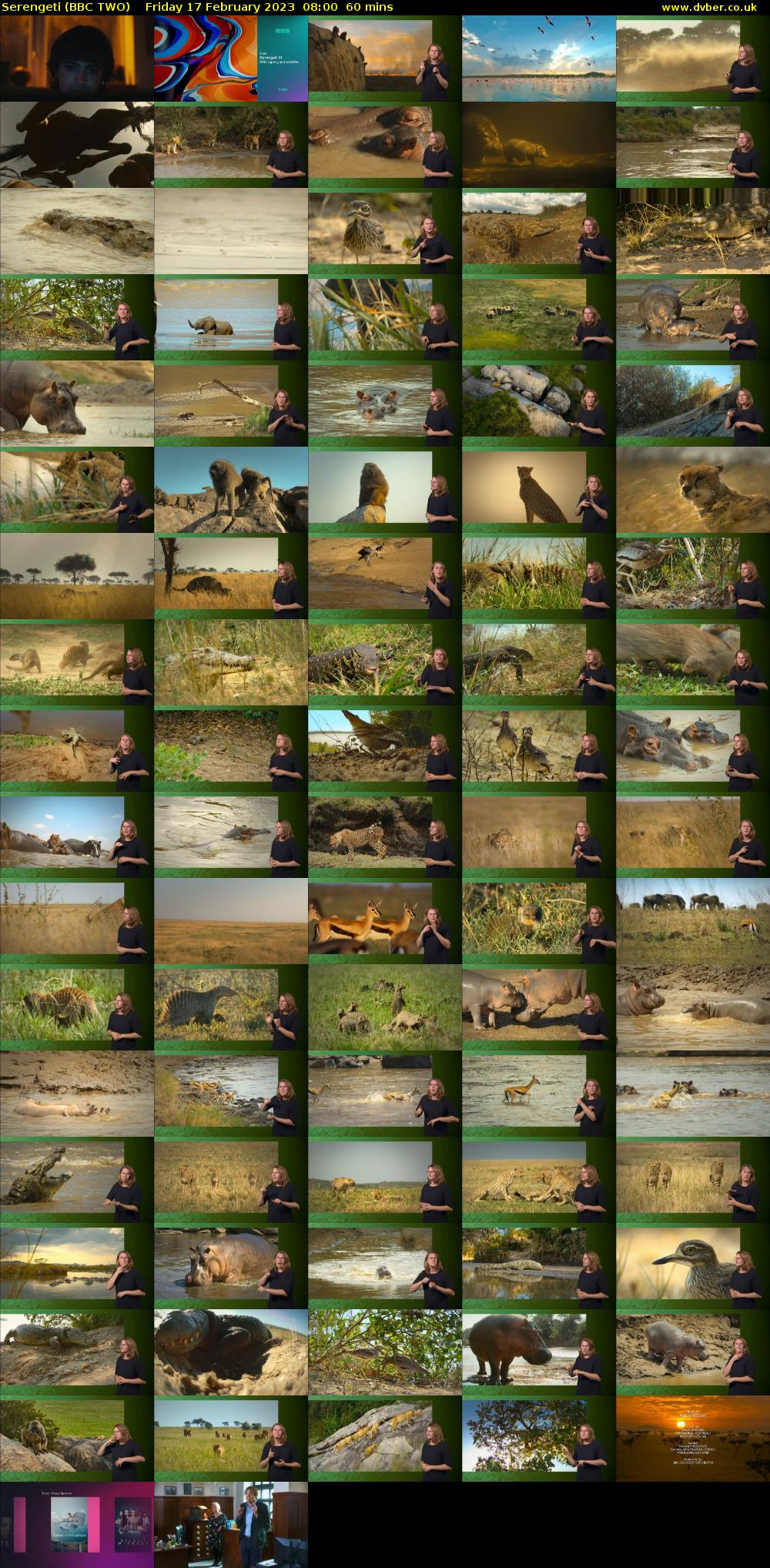 Serengeti (BBC TWO) Friday 17 February 2023 08:00 - 09:00
