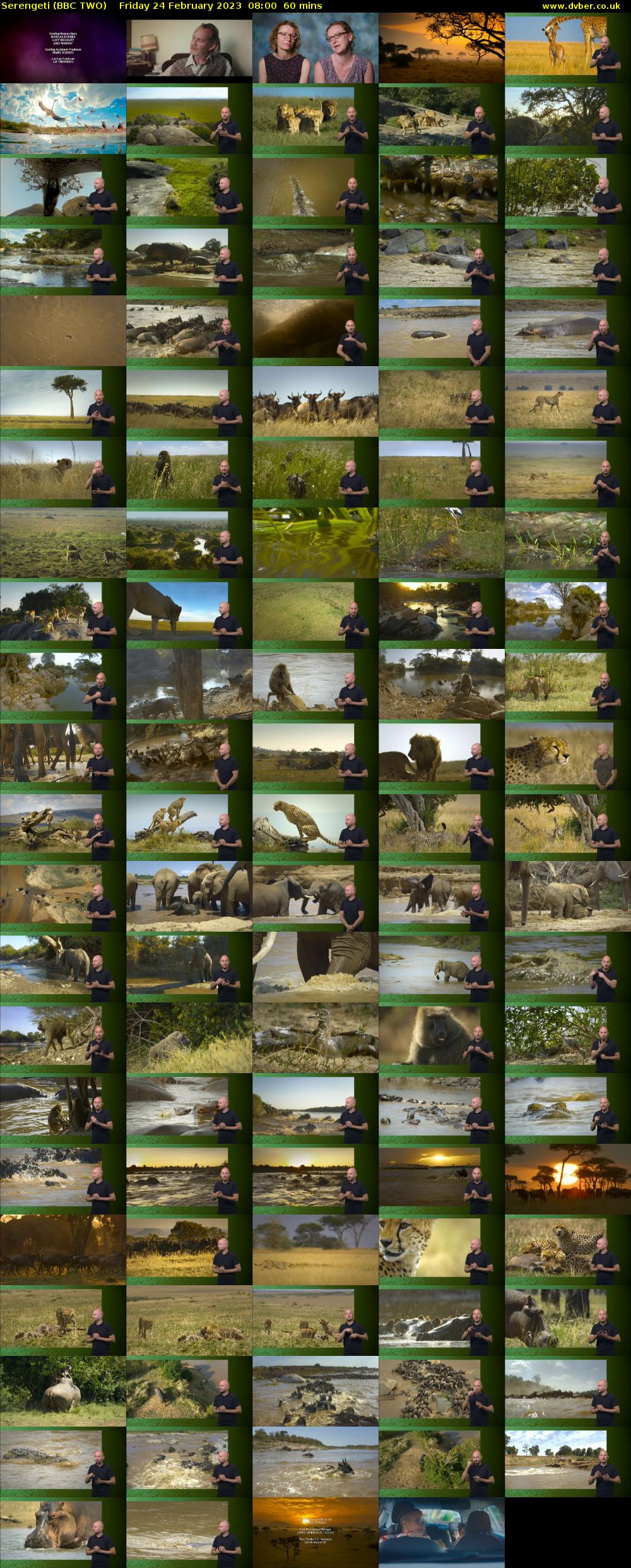 Serengeti (BBC TWO) Friday 24 February 2023 08:00 - 09:00