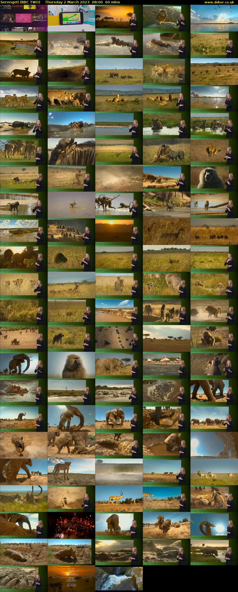 Serengeti (BBC TWO) Thursday 2 March 2023 08:00 - 09:00