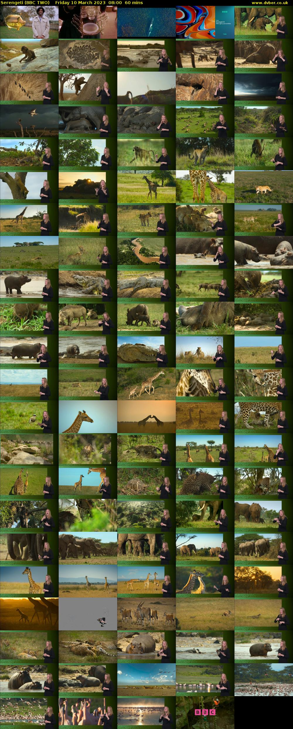 Serengeti (BBC TWO) Friday 10 March 2023 08:00 - 09:00