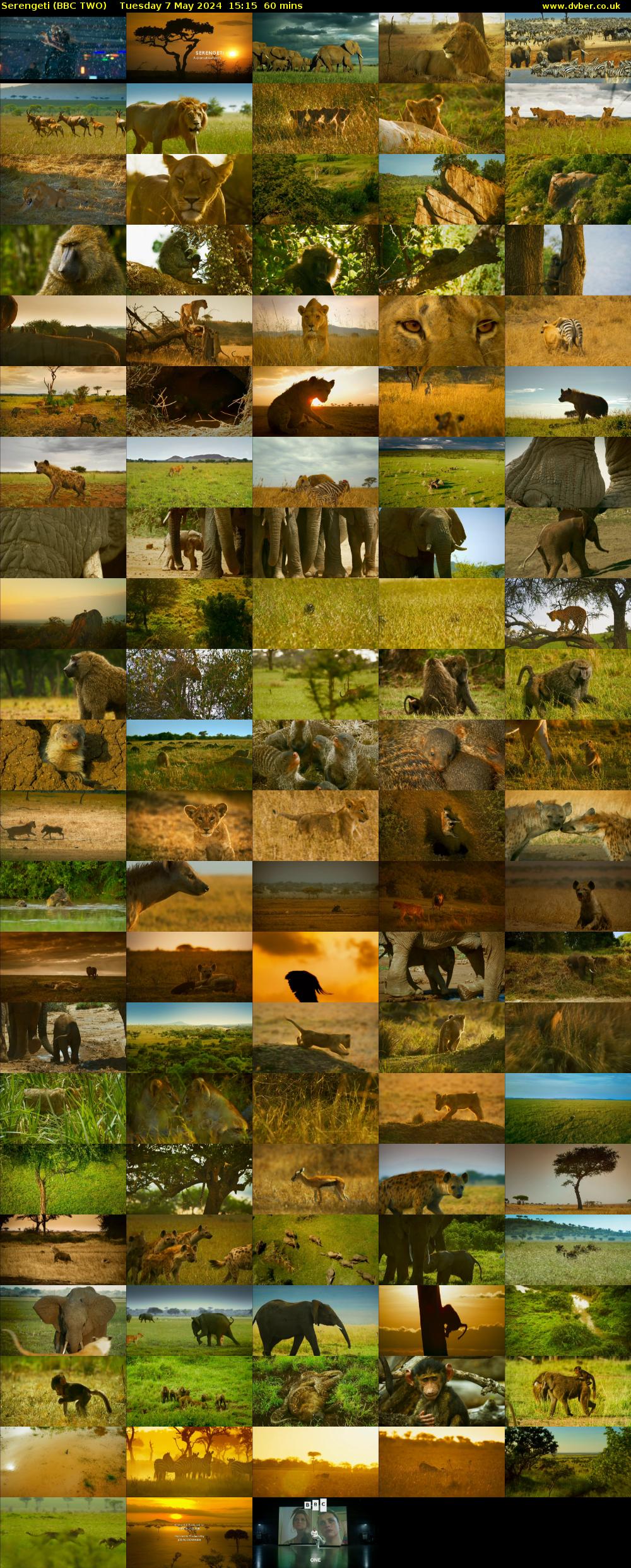 Serengeti (BBC TWO) Tuesday 7 May 2024 15:15 - 16:15