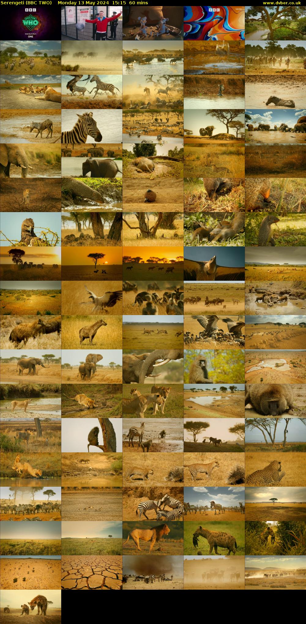 Serengeti (BBC TWO) Monday 13 May 2024 15:15 - 16:15