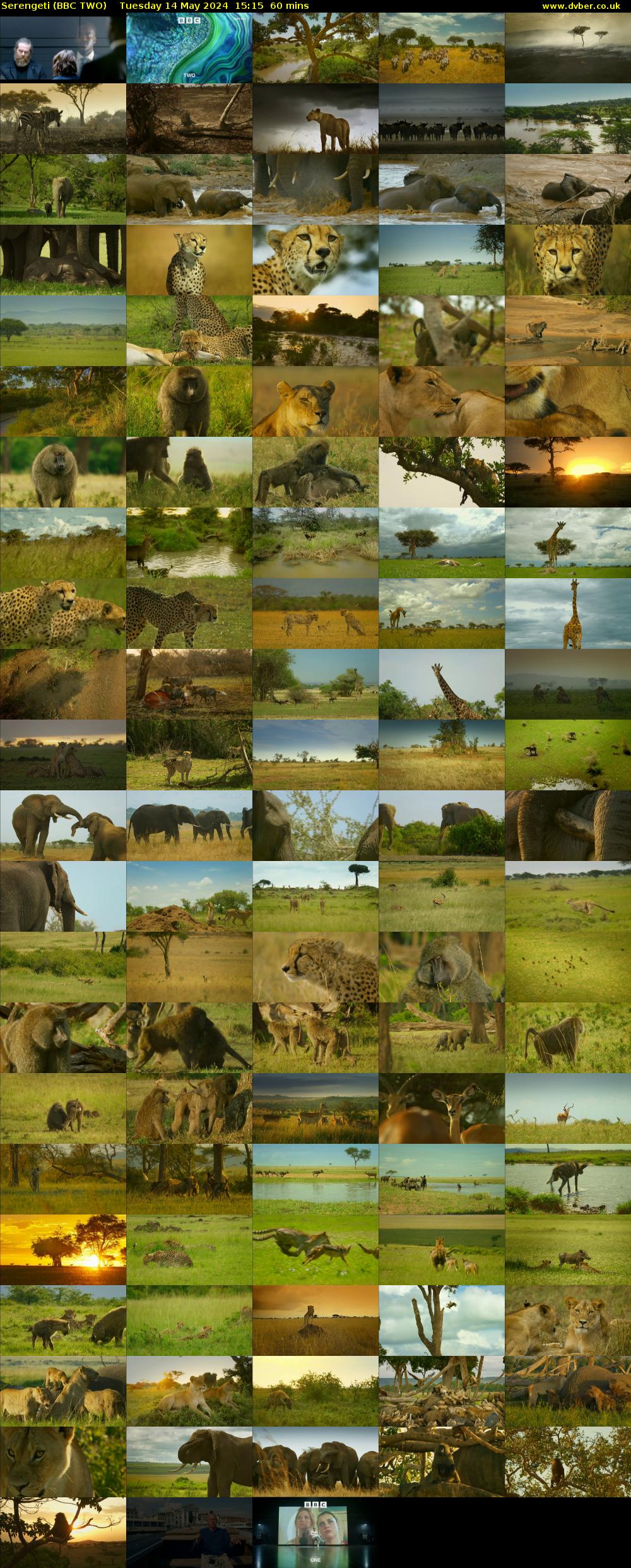 Serengeti (BBC TWO) Tuesday 14 May 2024 15:15 - 16:15