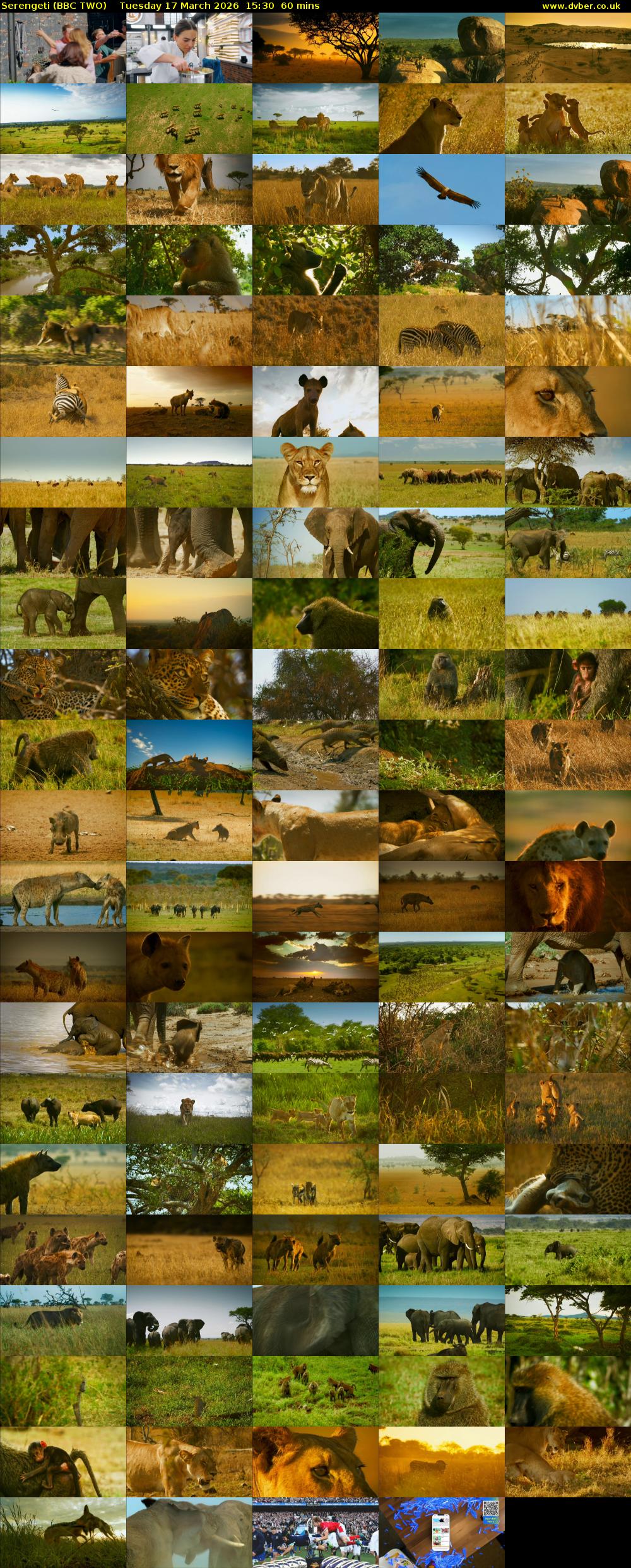 Serengeti (BBC TWO) Tuesday 17 March 2026 15:30 - 16:30