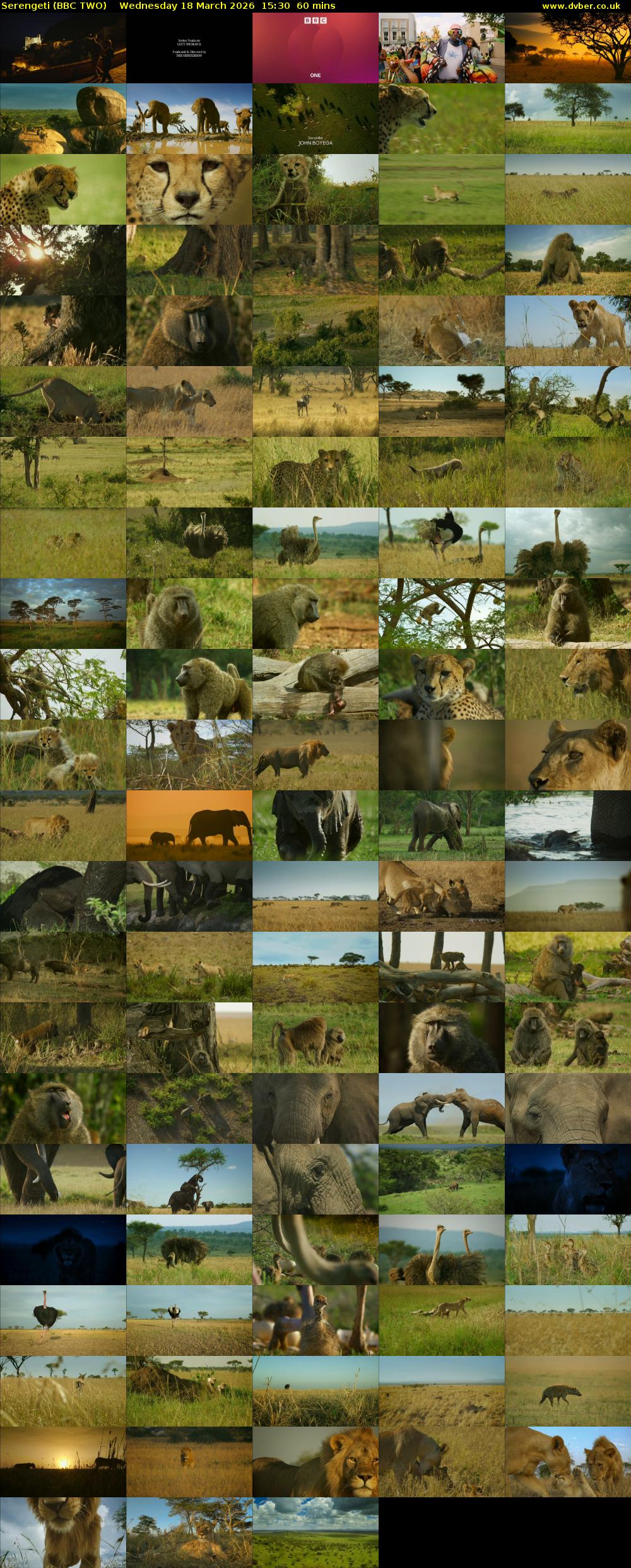Serengeti (BBC TWO) Wednesday 18 March 2026 15:30 - 16:30