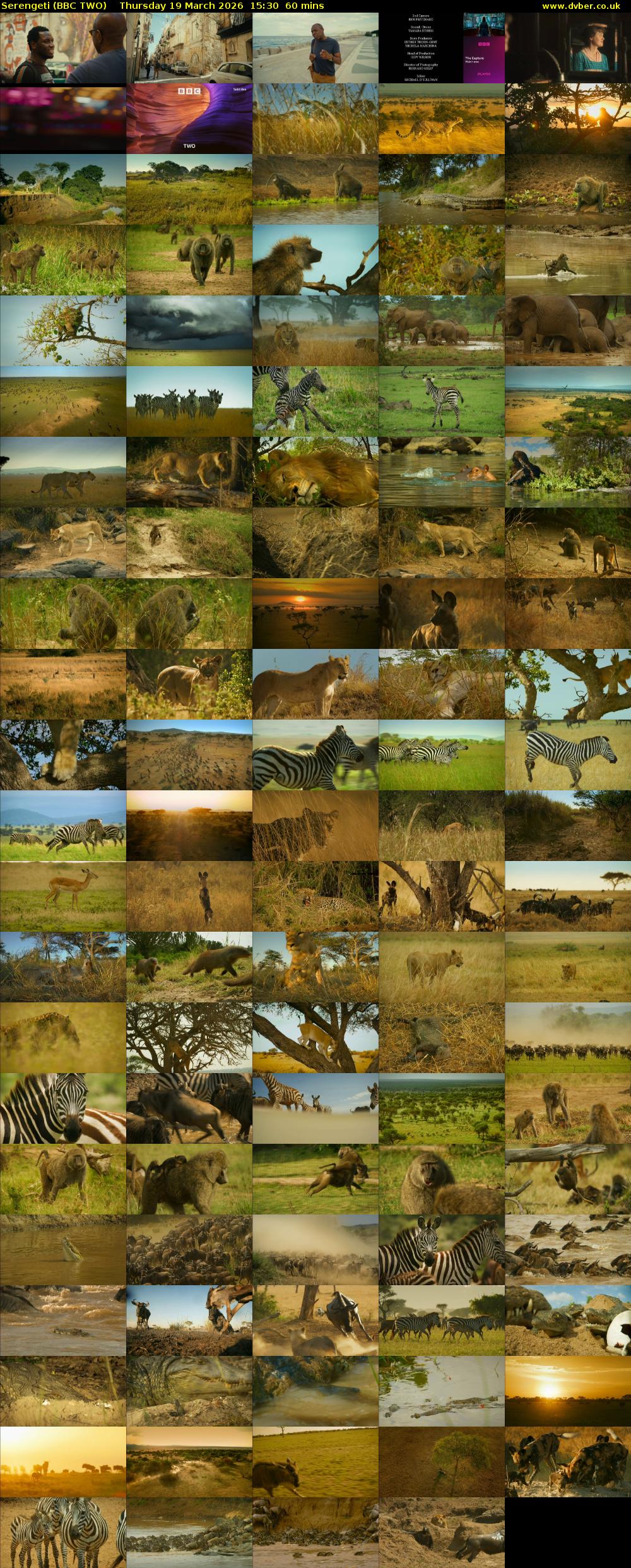 Serengeti (BBC TWO) Thursday 19 March 2026 15:30 - 16:30