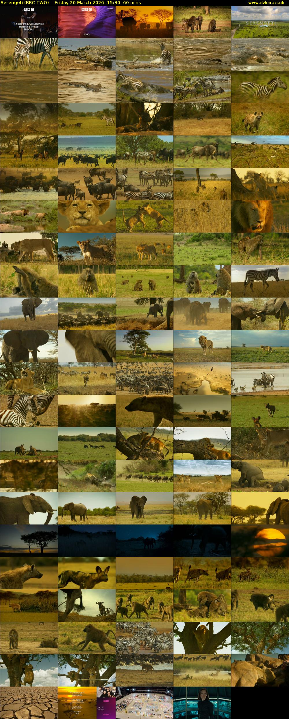 Serengeti (BBC TWO) Friday 20 March 2026 15:30 - 16:30