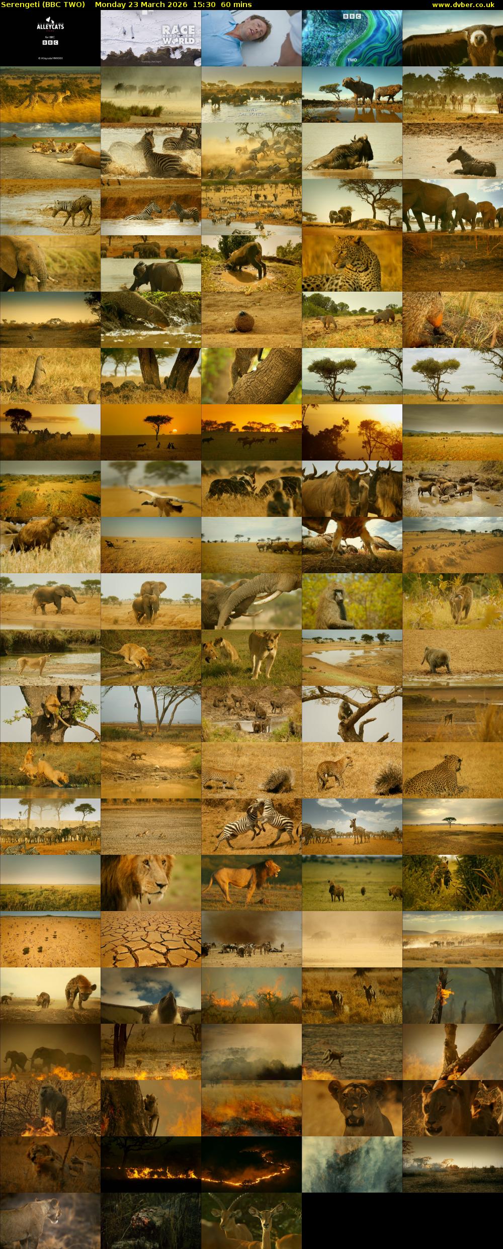Serengeti (BBC TWO) Monday 23 March 2026 15:30 - 16:30
