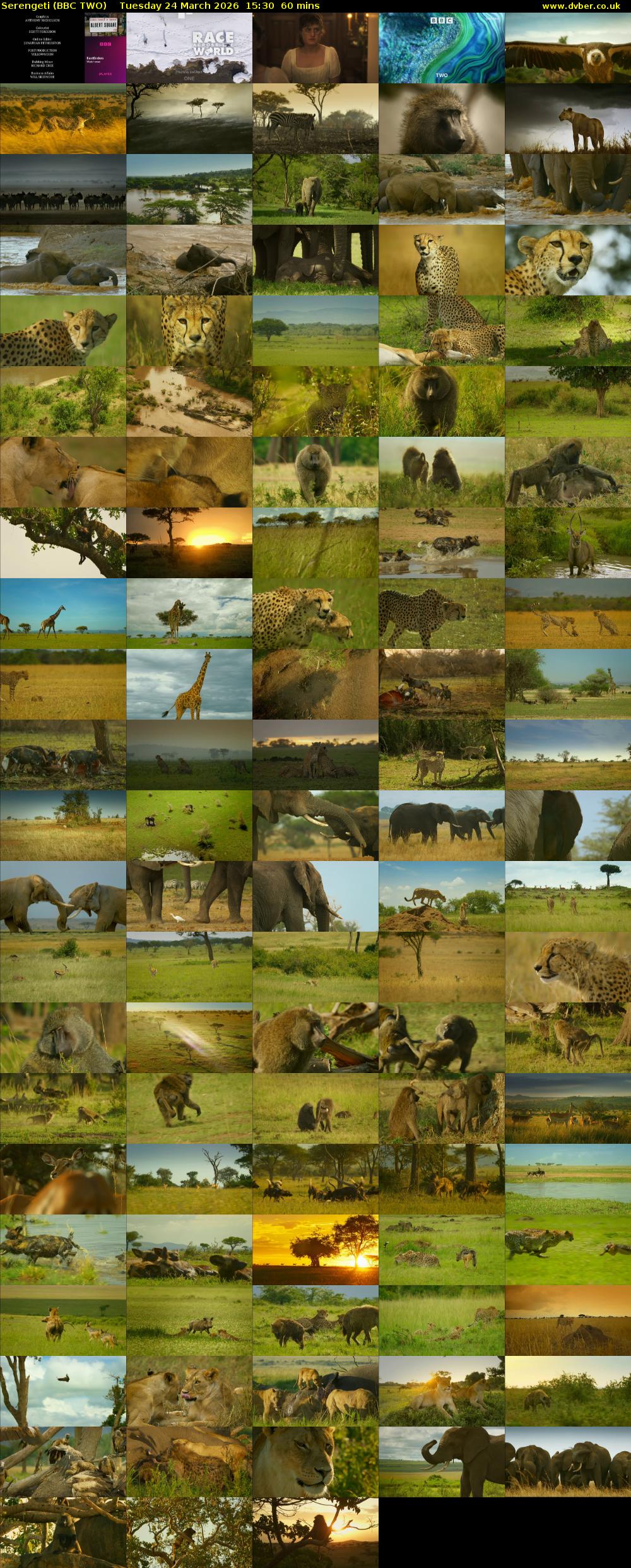 Serengeti (BBC TWO) Tuesday 24 March 2026 15:30 - 16:30