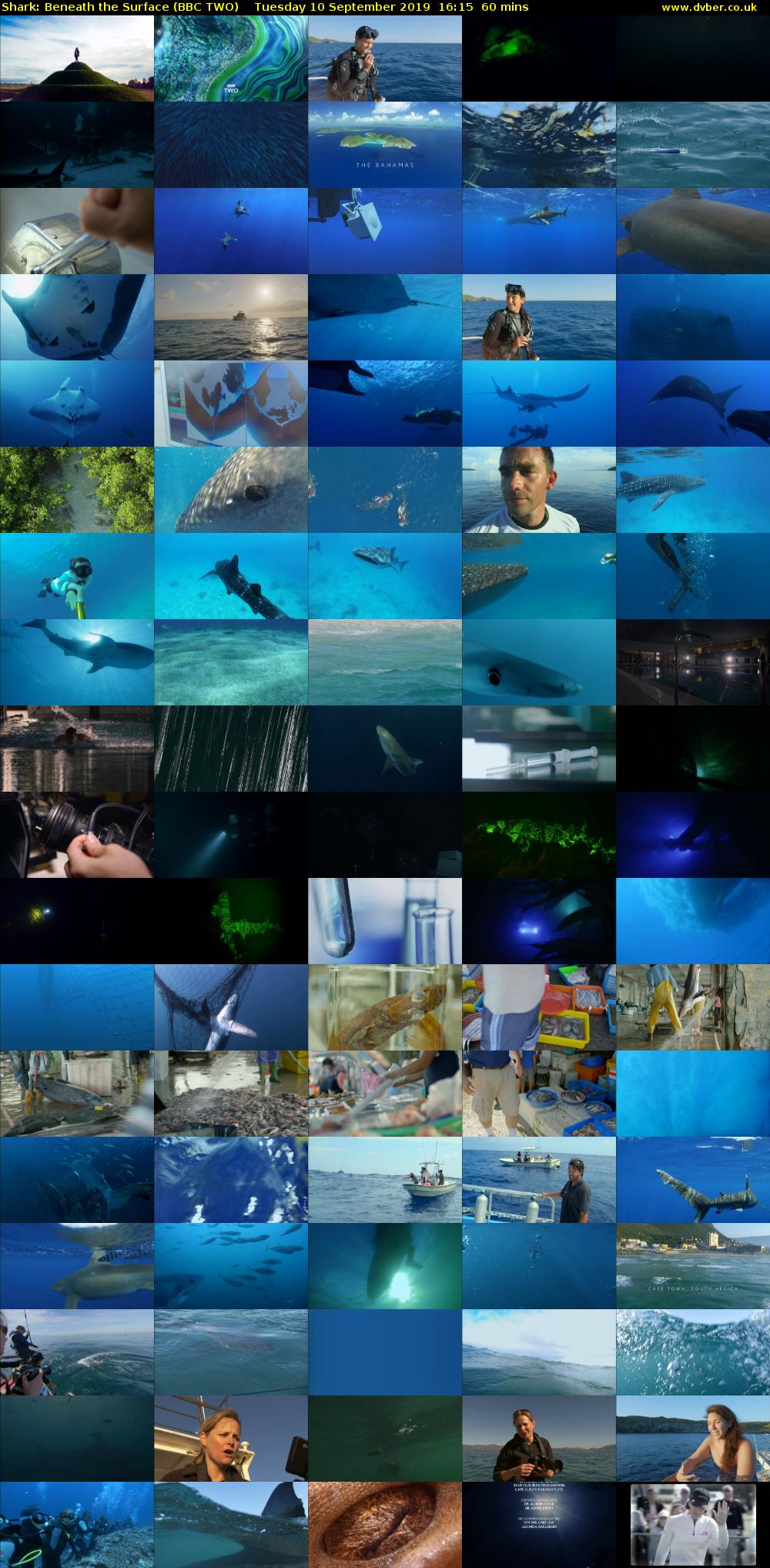 Shark: Beneath the Surface (BBC TWO) Tuesday 10 September 2019 16:15 - 17:15