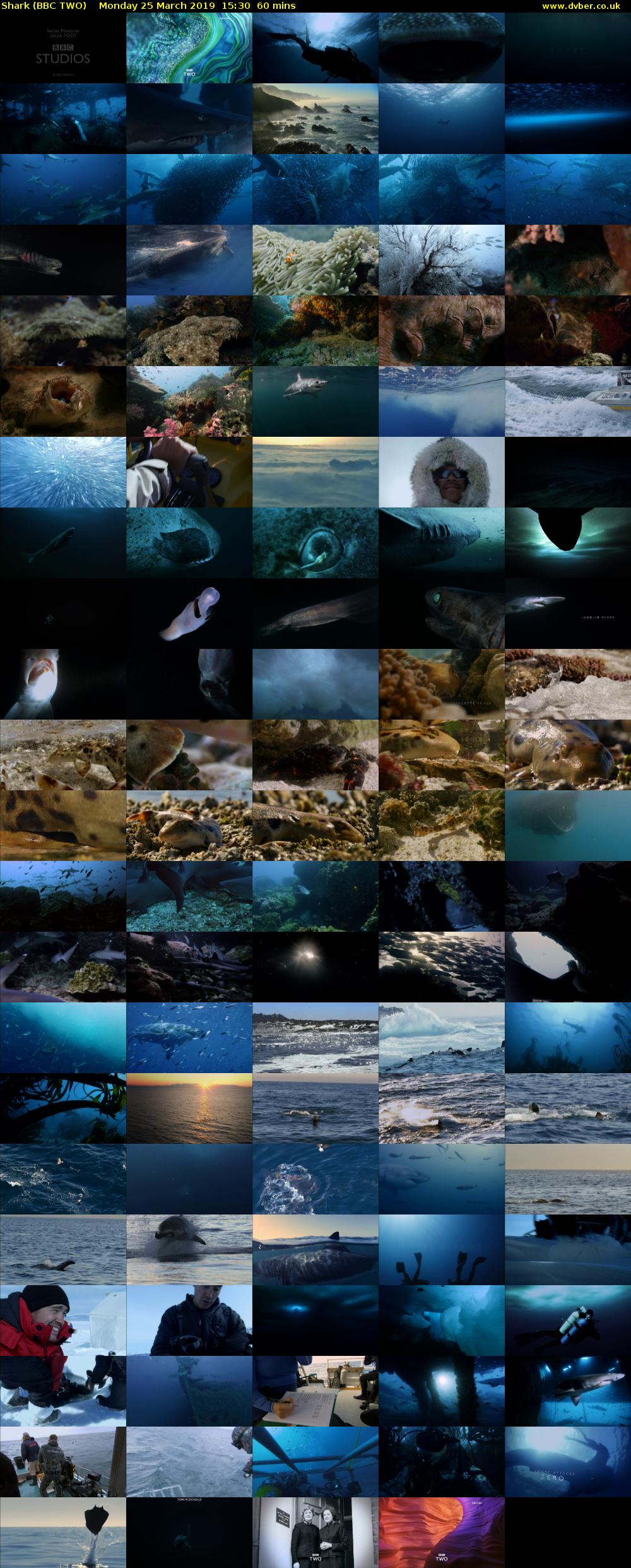 Shark (BBC TWO) Monday 25 March 2019 15:30 - 16:30