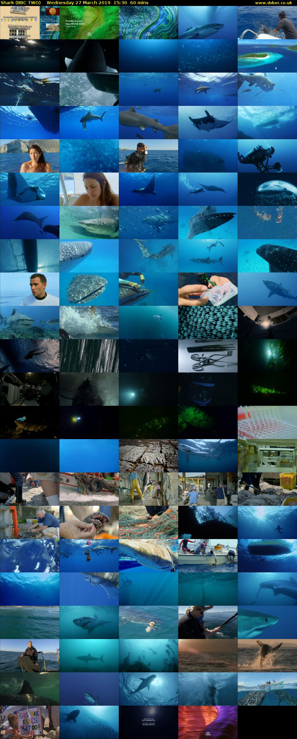 Shark (BBC TWO) Wednesday 27 March 2019 15:30 - 16:30