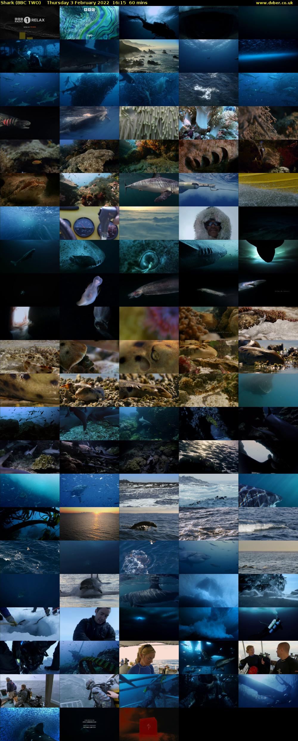 Shark (BBC TWO) Thursday 3 February 2022 16:15 - 17:15
